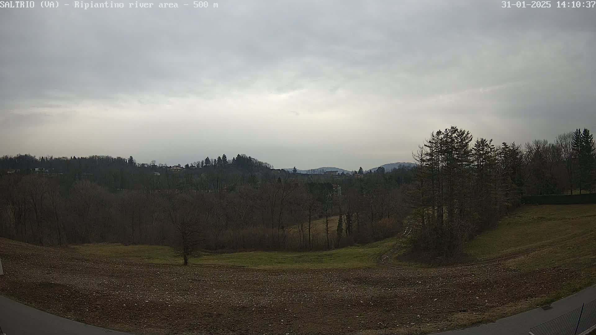 A wide, overcast view shows a sparsely vegetated field in the foreground, leading to a line of bare deciduous trees, beyond which are distant hills under a gray sky.