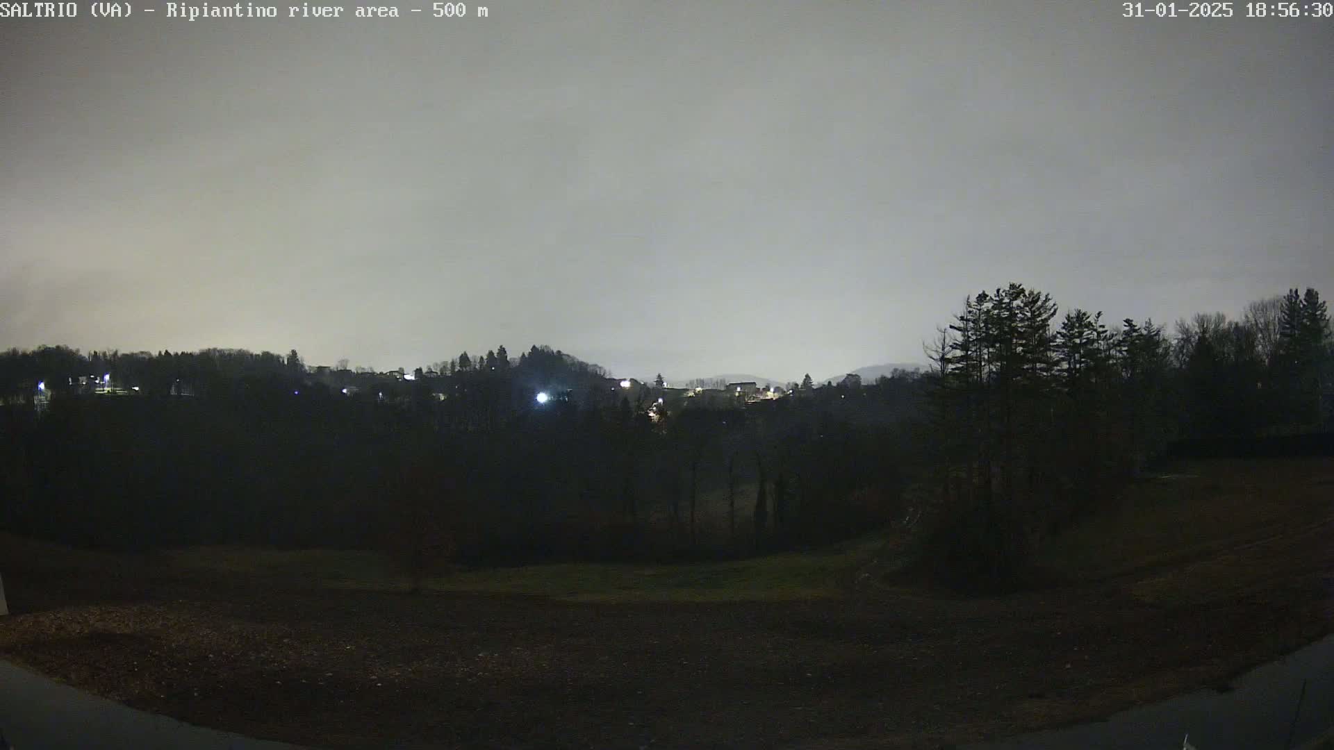 A nighttime view of a dark, tree-lined hillside with a few distant lights under a gray, overcast sky.