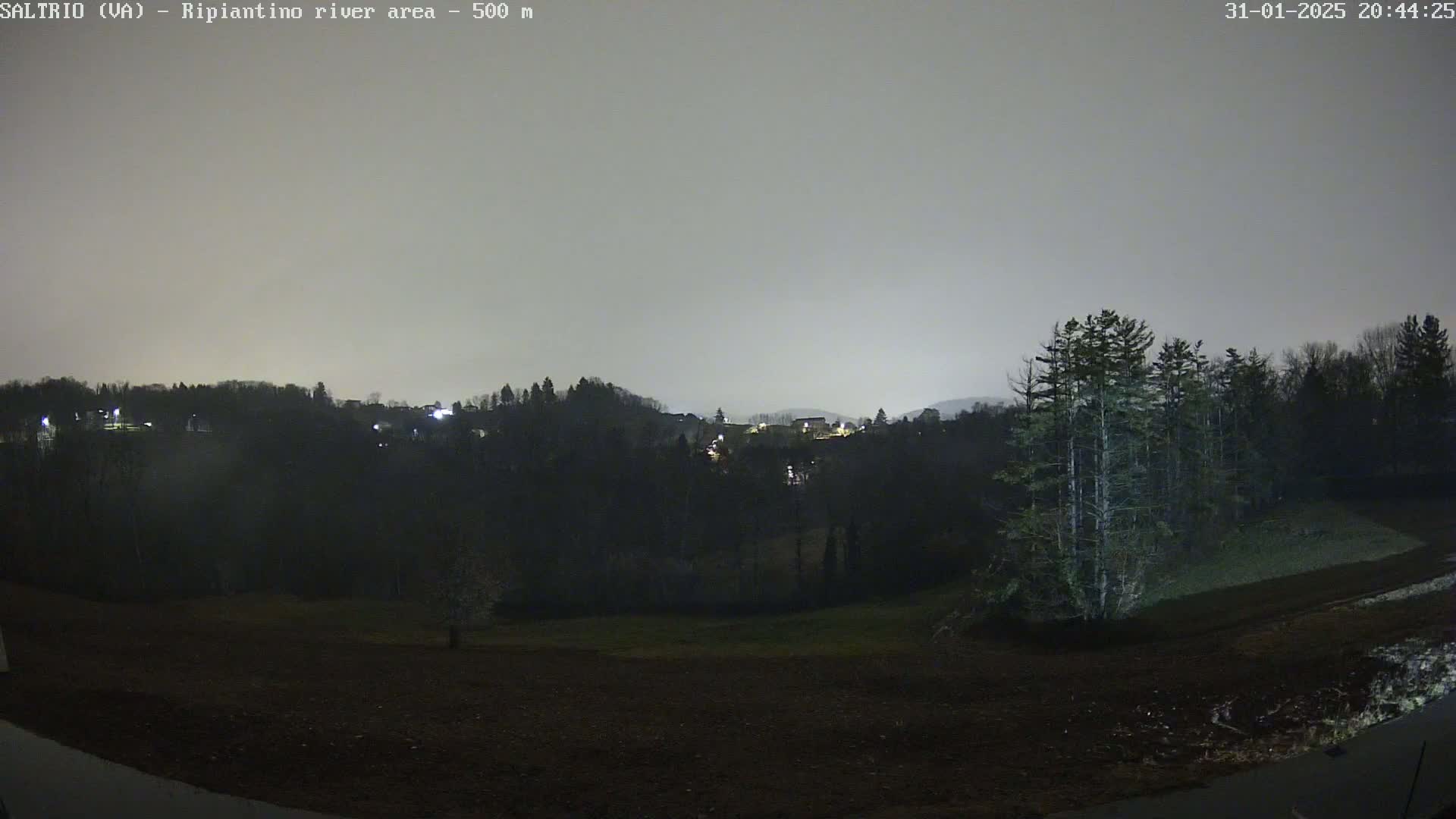 A nighttime view of a dark, sparsely lit landscape with a hill covered in trees in the background under an overcast sky.