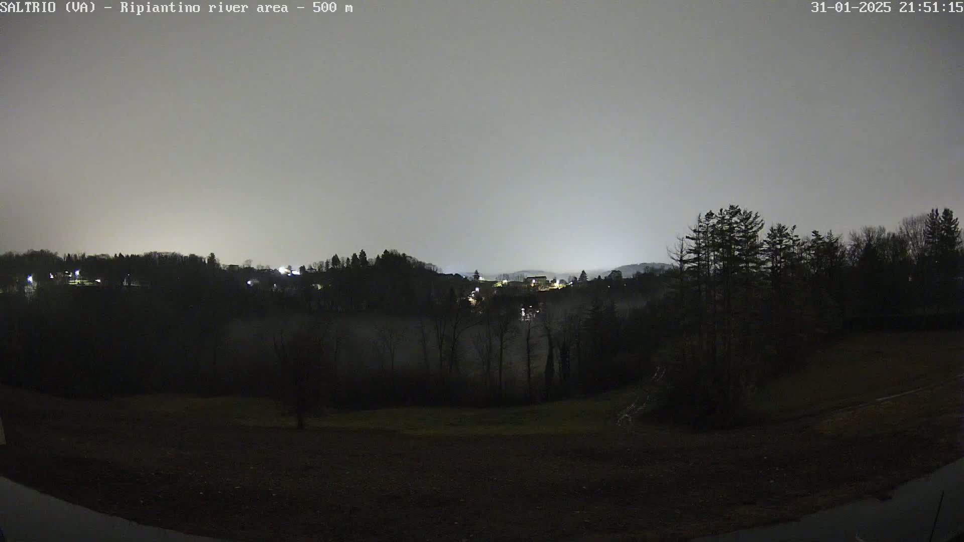 A nighttime view of a hilly landscape with trees and a few distant lights under a gray sky.