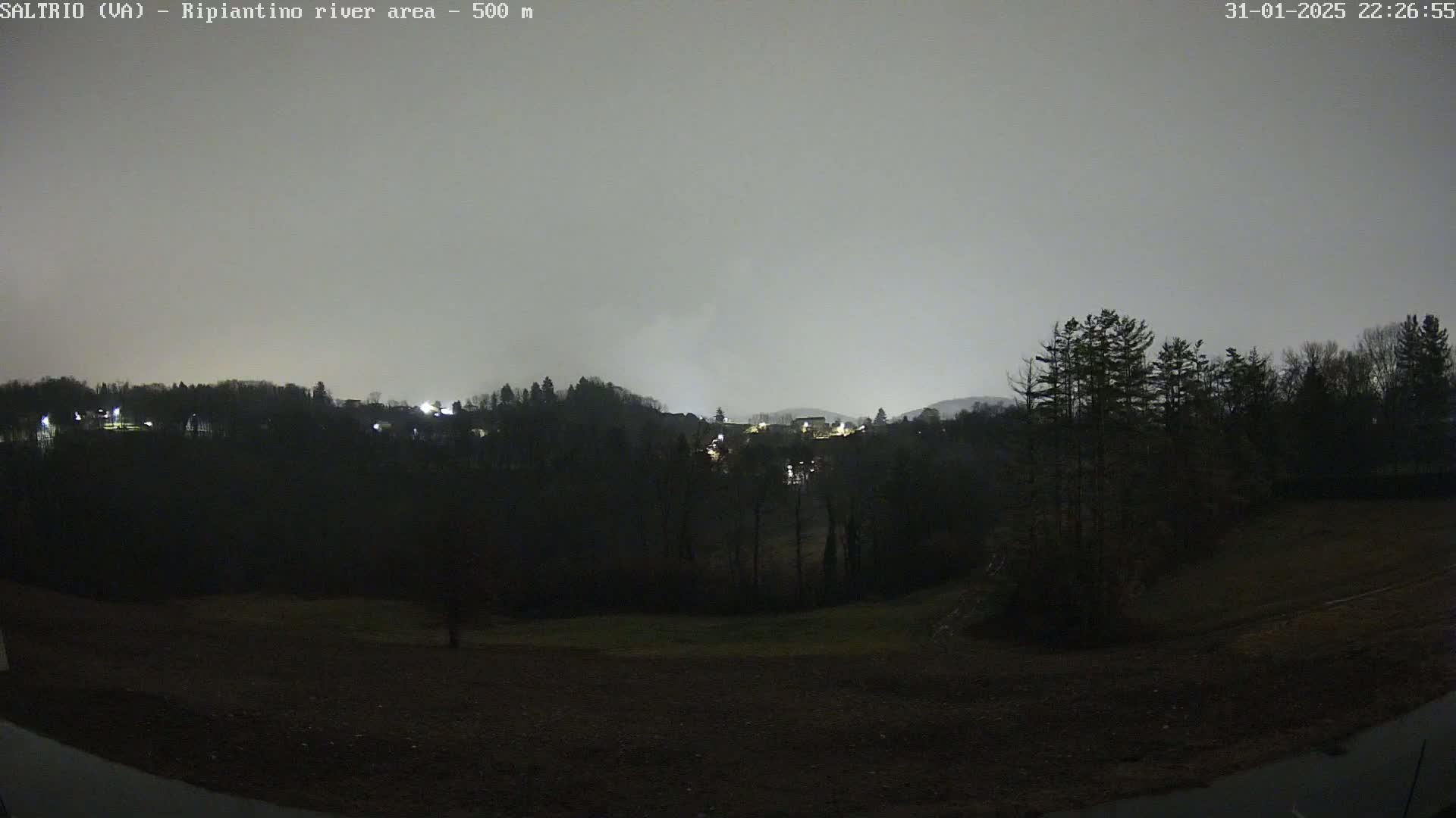 A nighttime view of a dark, wooded area with a few lights visible in the distance under a cloudy, gray sky.