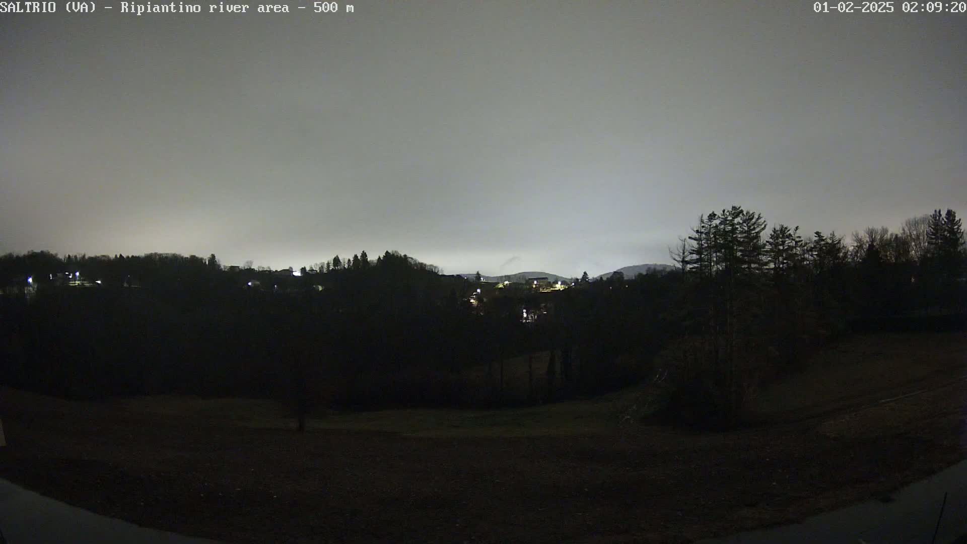 A nighttime view of a dark, wooded area with a few distant lights, under a cloudy, gray sky.