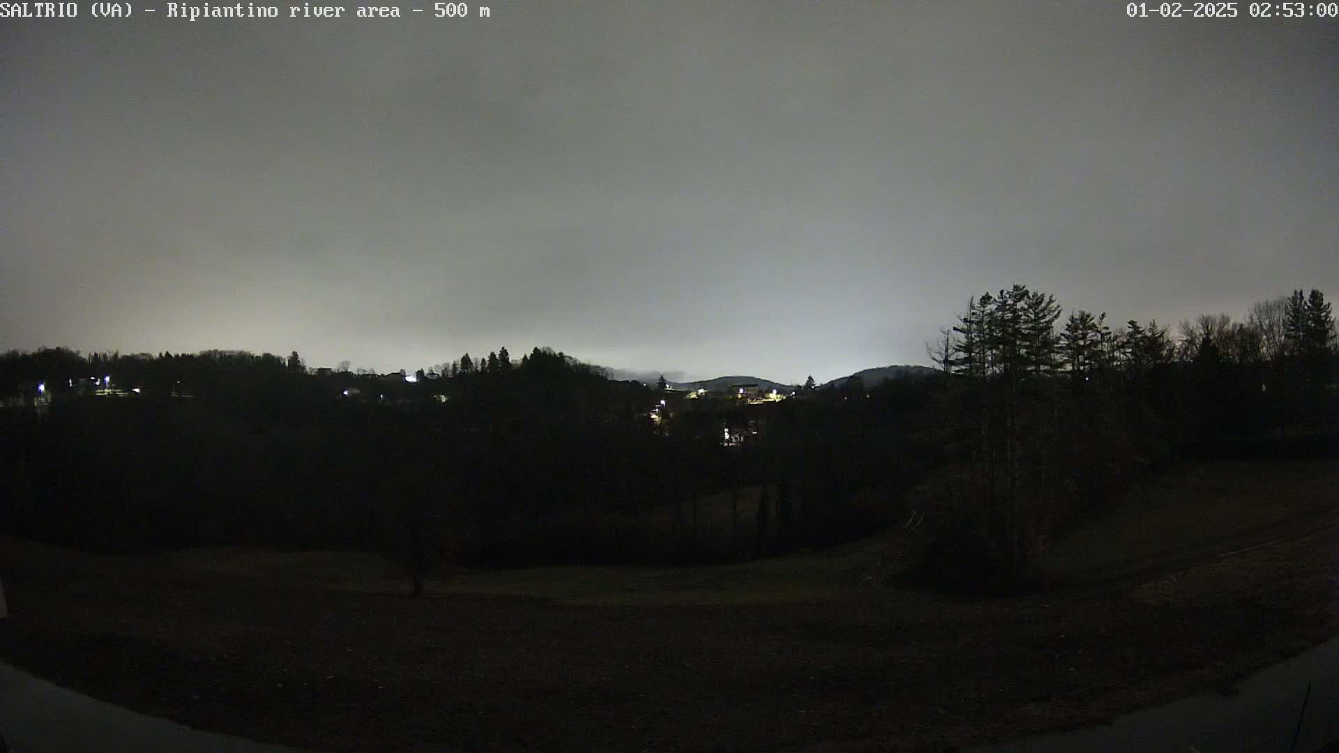 A nighttime view of a dark, tree-lined hillside under an overcast sky, with a few distant lights visible.