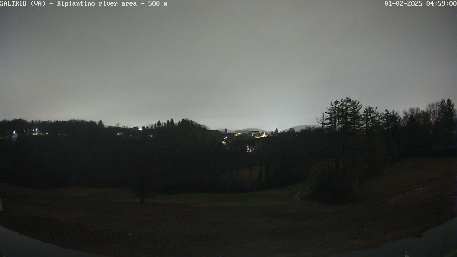 A nighttime view of a dark, tree-lined hillside with a few distant lights under a gray sky.