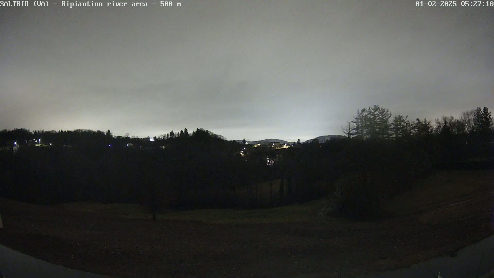 A nighttime view of a dark, tree-covered landscape under a cloudy, gray sky shows faintly lit buildings in the distance.