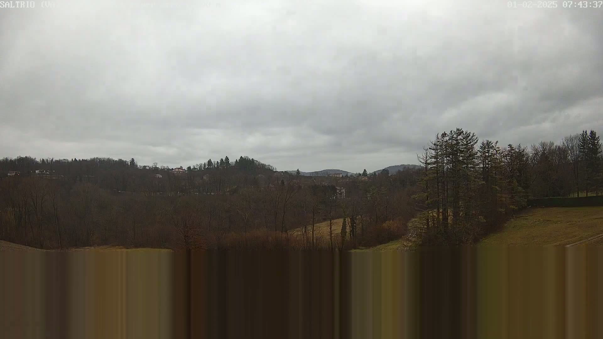 A view of a hilly landscape covered in leafless trees under an overcast sky.