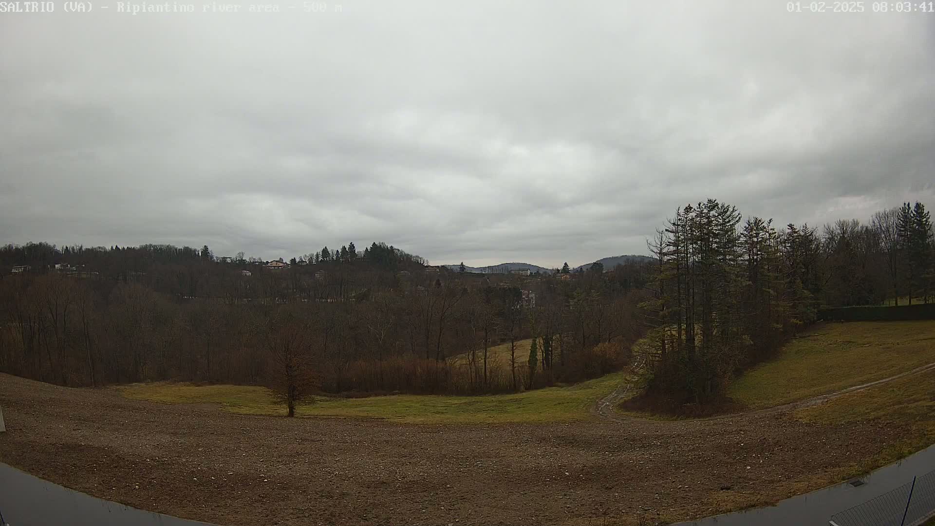 A view of a mostly barren, hilly landscape under an overcast sky shows a mix of bare trees and patches of grass.