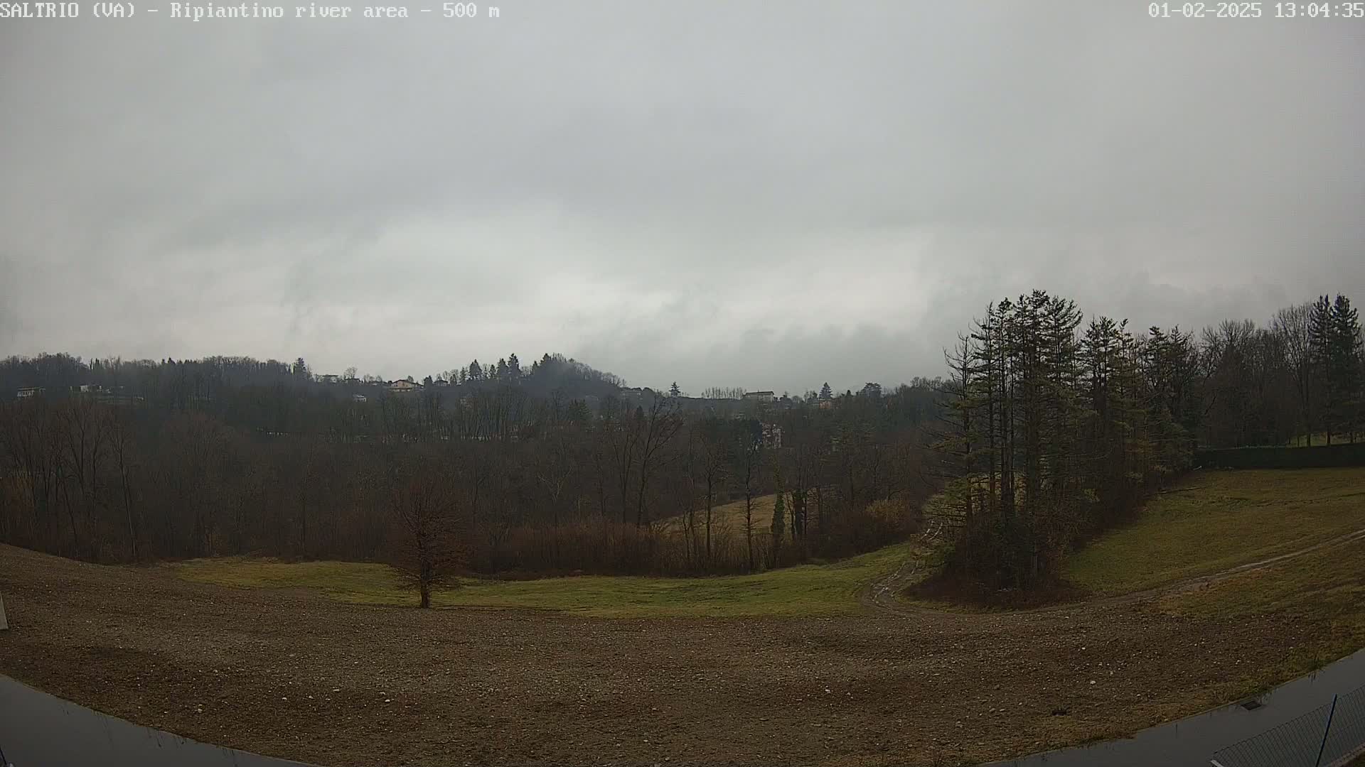A view of a mostly barren landscape with a few evergreens and leafless trees under an overcast sky.