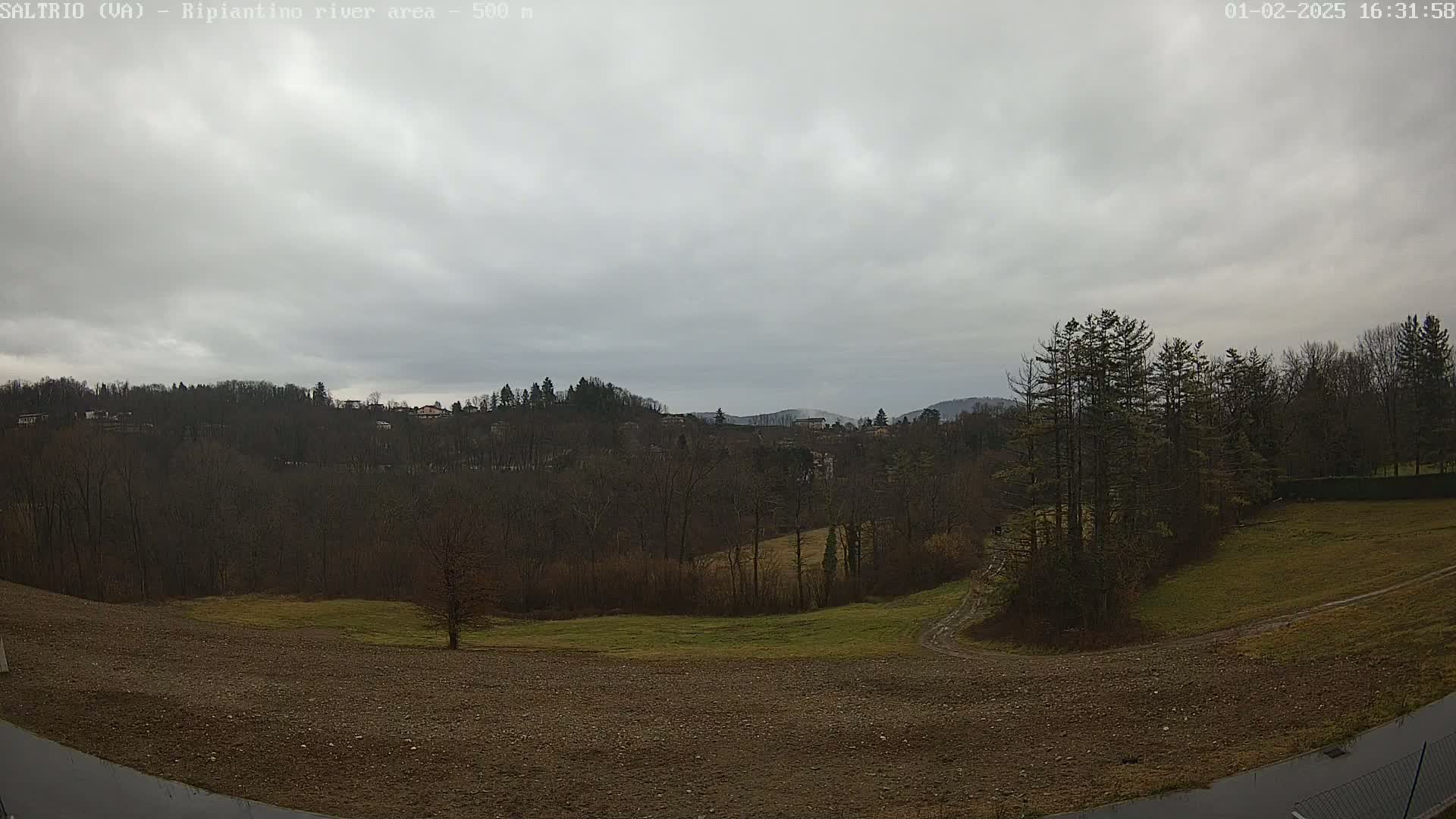 A view of a wooded hillside under an overcast sky, showing a brown field in the foreground.
