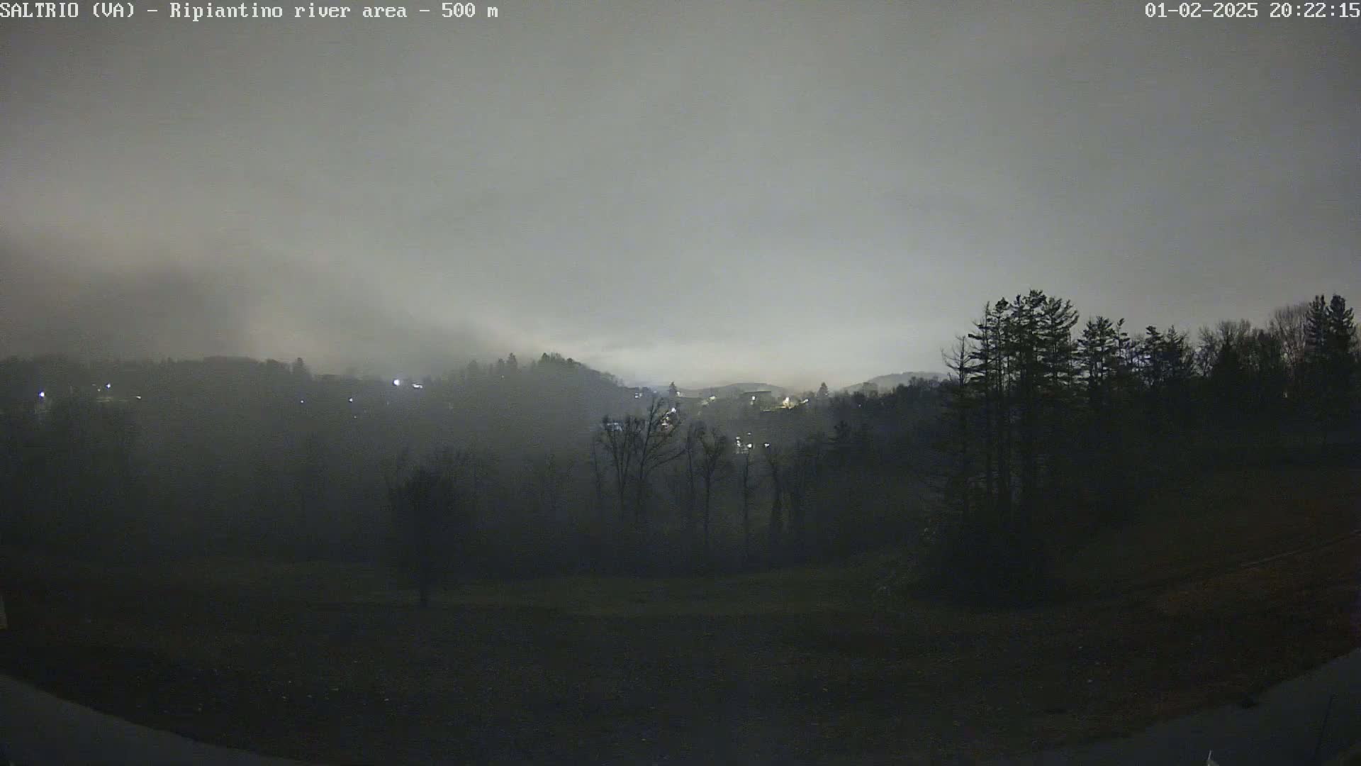 A foggy night scene shows a distant village nestled among dark trees and hills.