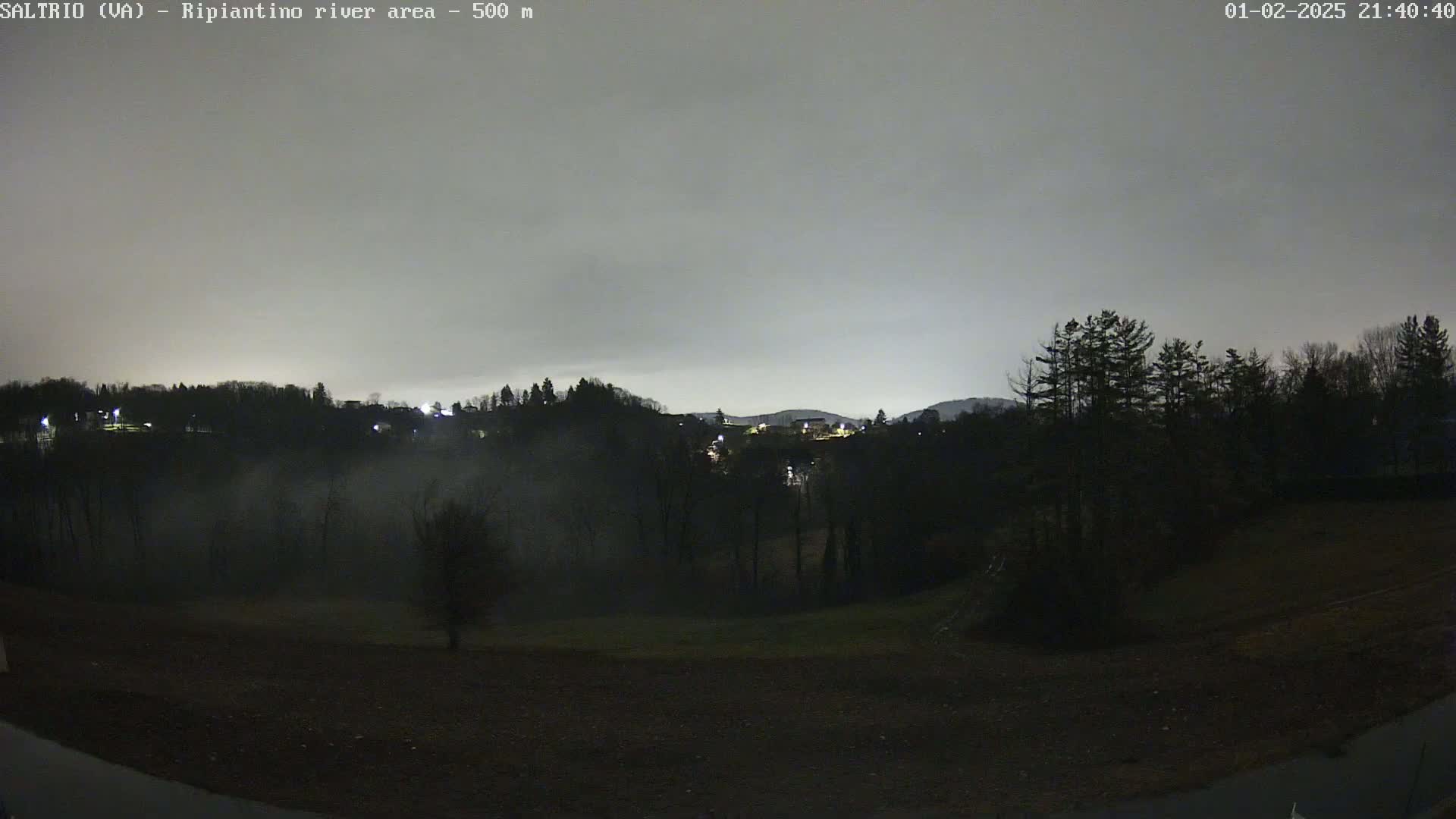 A nighttime view of a fog-shrouded valley with trees and distant lights under a cloudy sky.