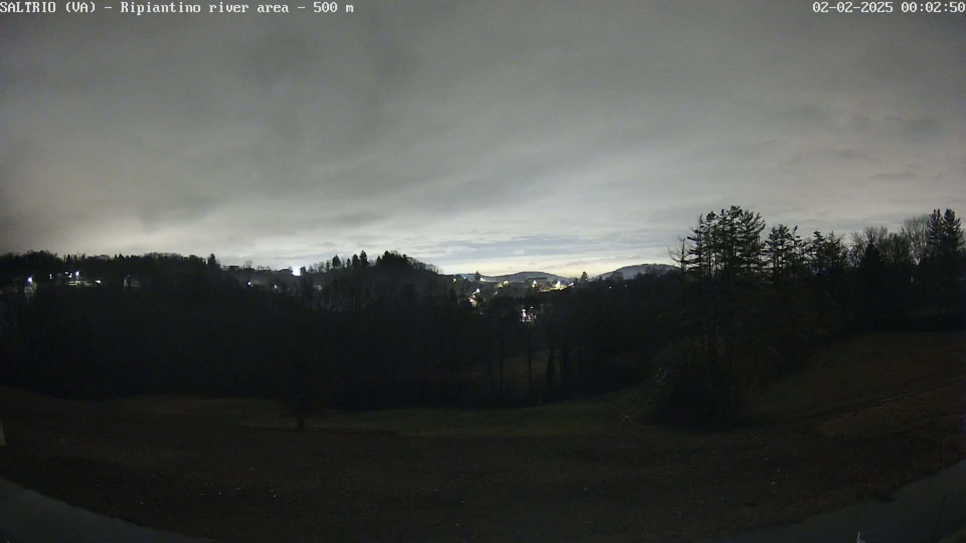 A nighttime view of a dark, tree-covered landscape under a cloudy, gray sky.