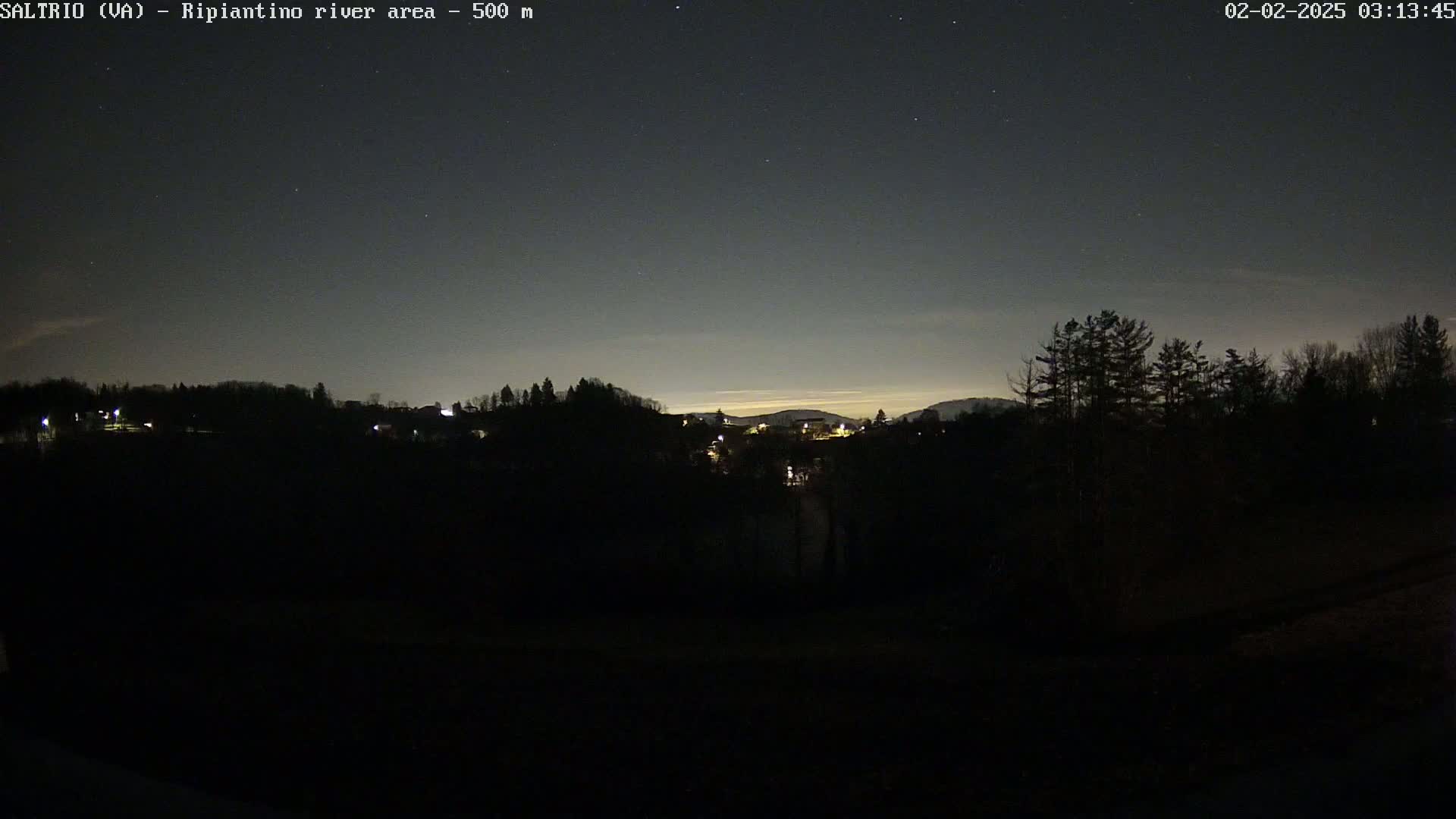 A nighttime view of a dark, tree-lined landscape with a few distant lights visible under a mostly clear, starlit sky.