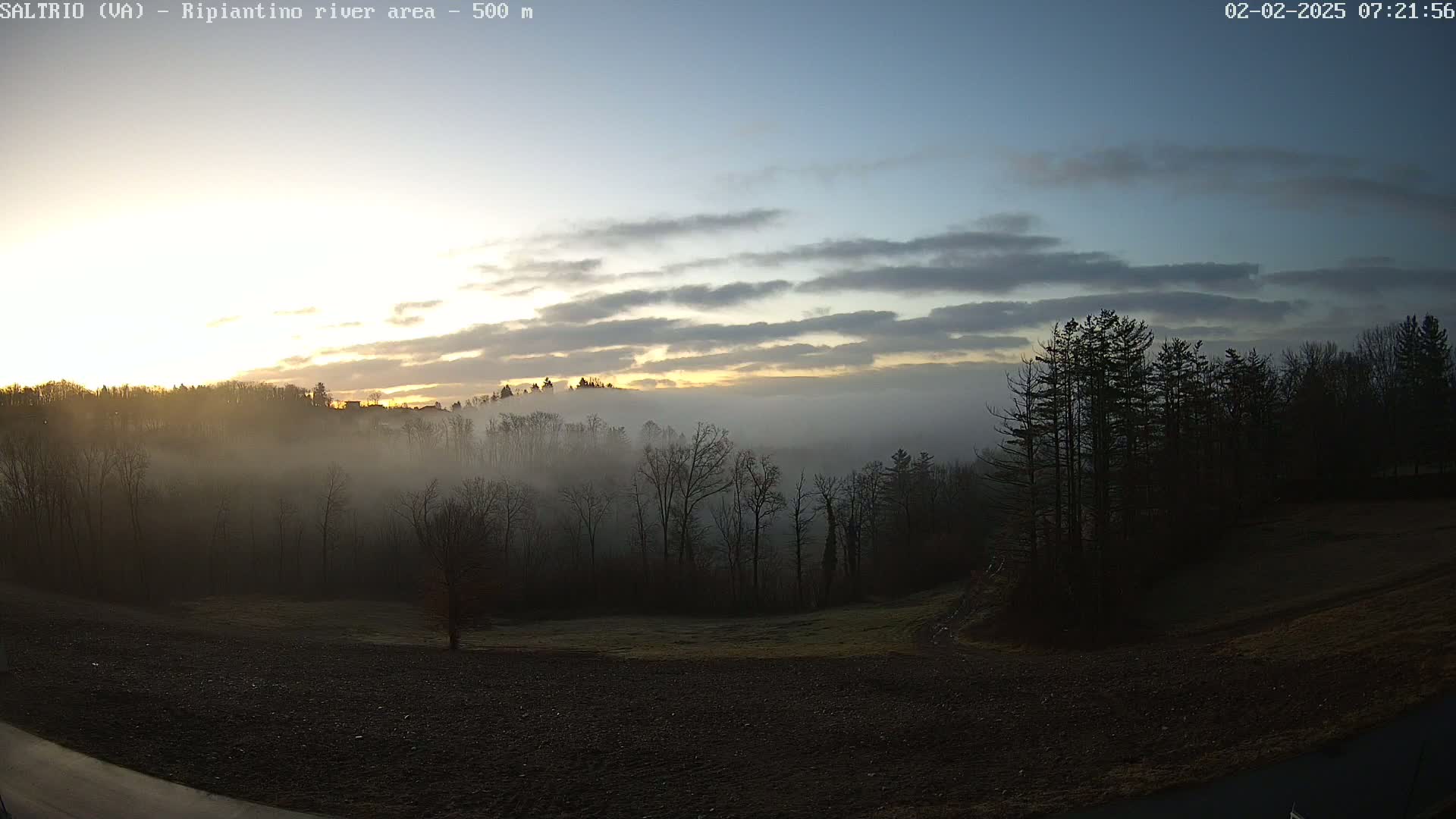 A misty sunrise illuminates a line of trees and hills, with a clear sky above.