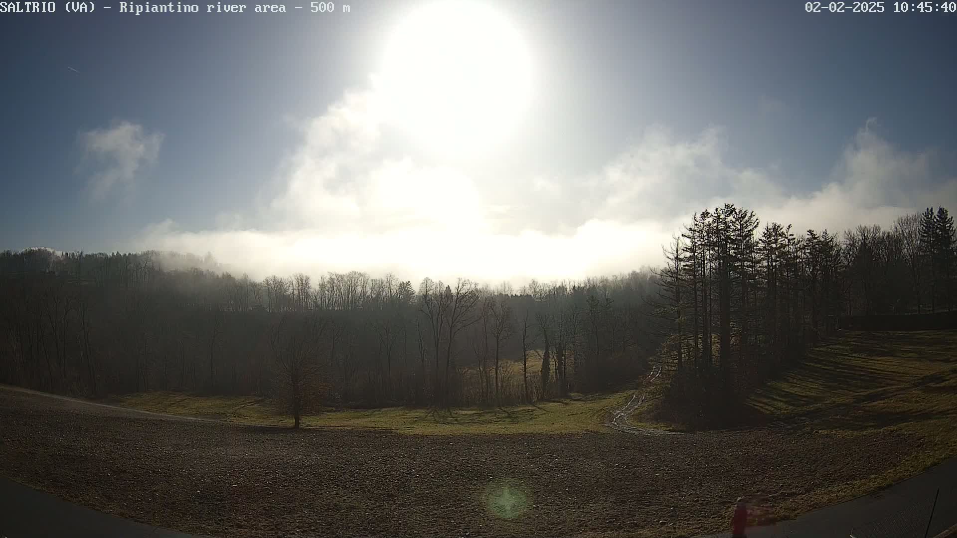 A mostly sunny day with fog in the distance over a treeline and a field, viewed from a slightly elevated vantage point.