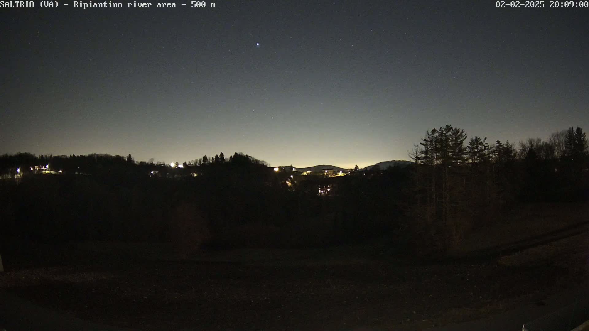 A nighttime view of a dimly lit town nestled among dark trees under a clear, starry sky.
