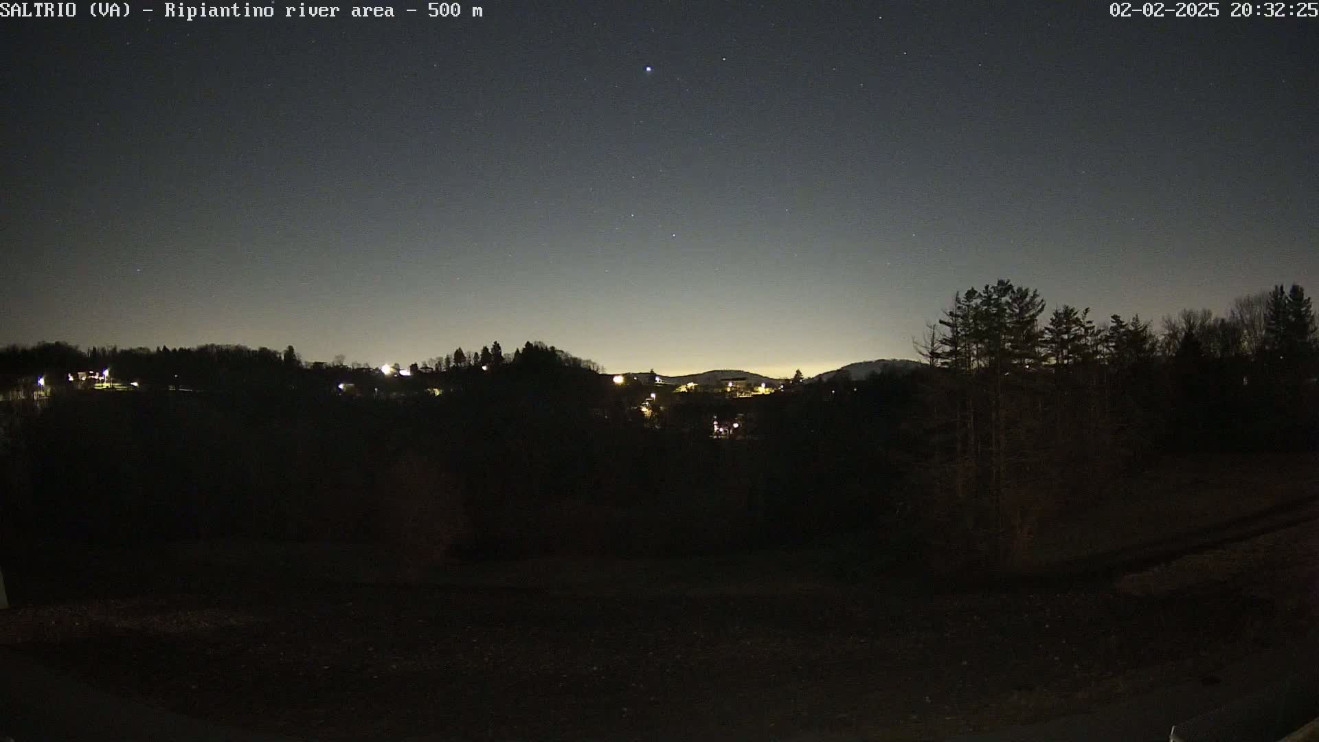 A nighttime, starlit view of a dark, tree-lined hillside with a few distant lights visible.