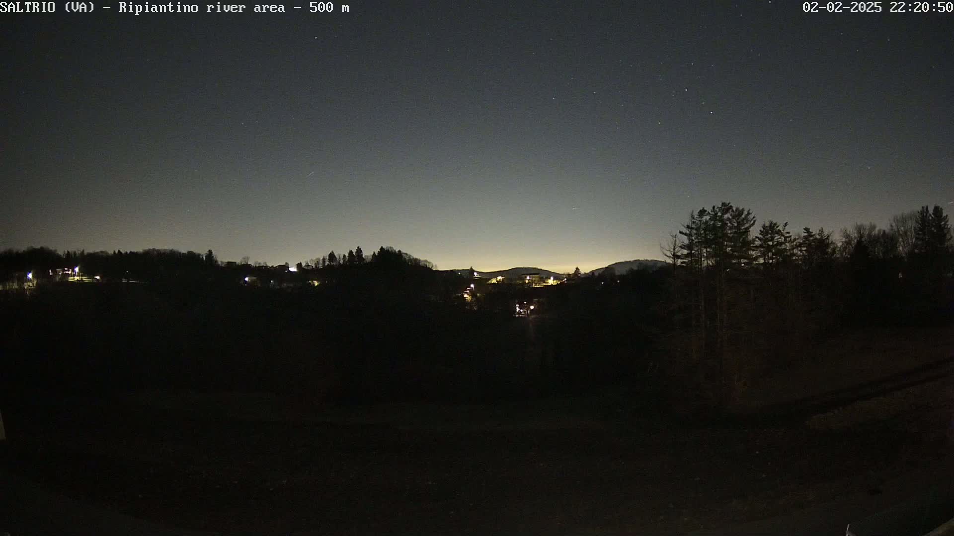 A nighttime, starlit view of a dark, wooded area with a few distant lights from buildings visible on a hill in the background.