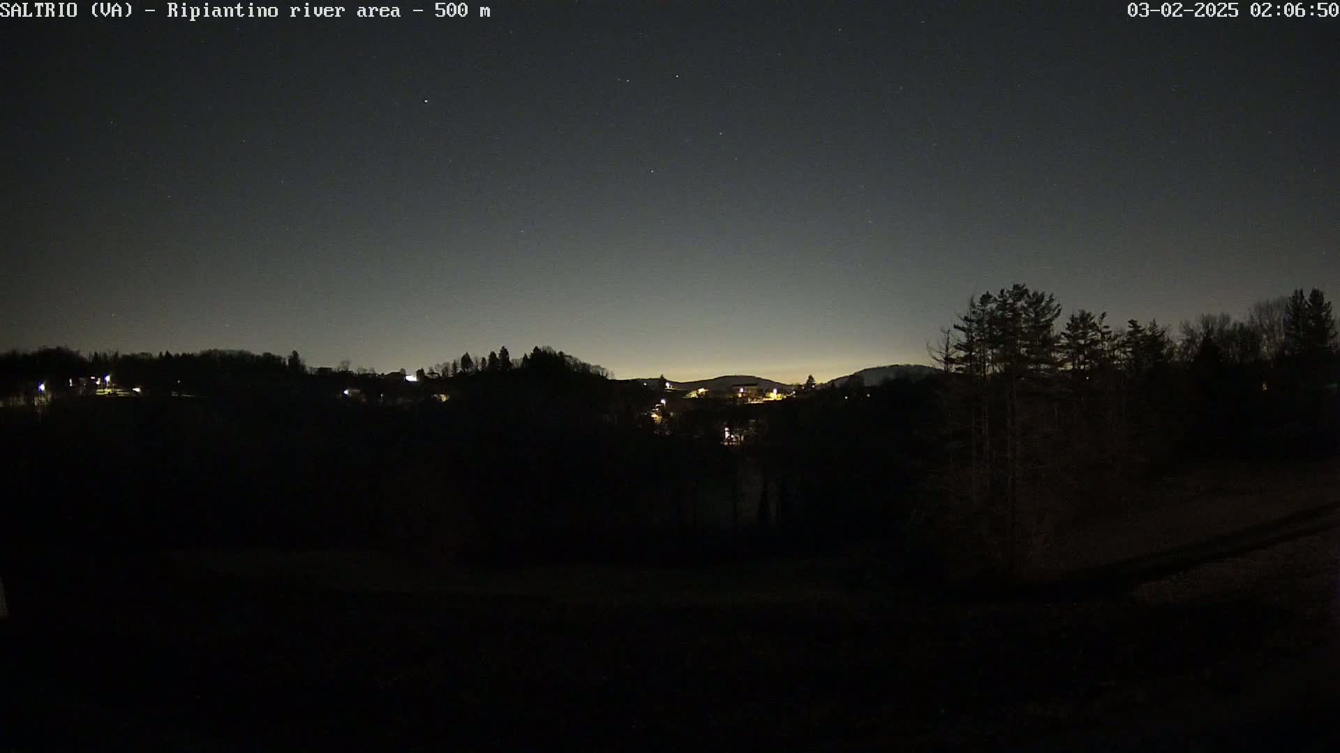 A nighttime view of a dark landscape with a few scattered lights, silhouetted trees, and a clear, starlit sky.