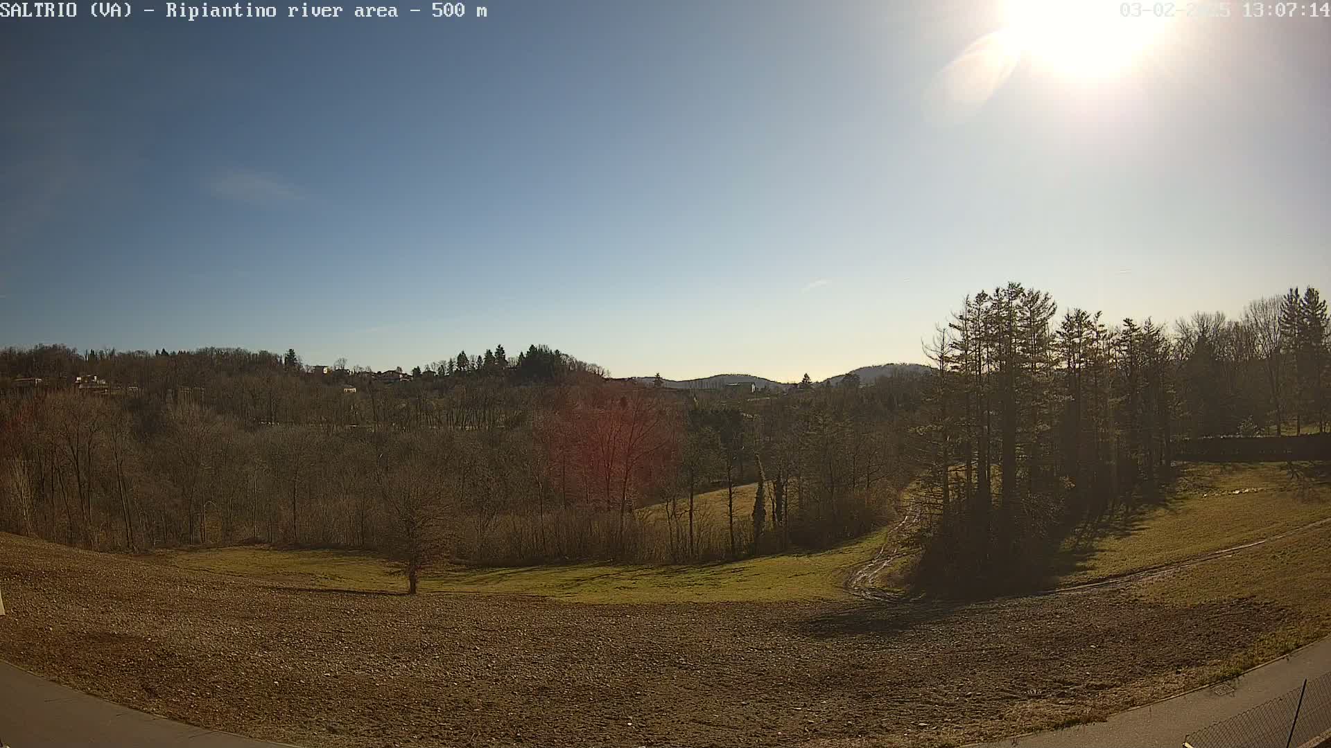A sunny day reveals a landscape of bare, winter trees and brown fields, with a cluster of evergreens in the foreground and hills in the distance.
