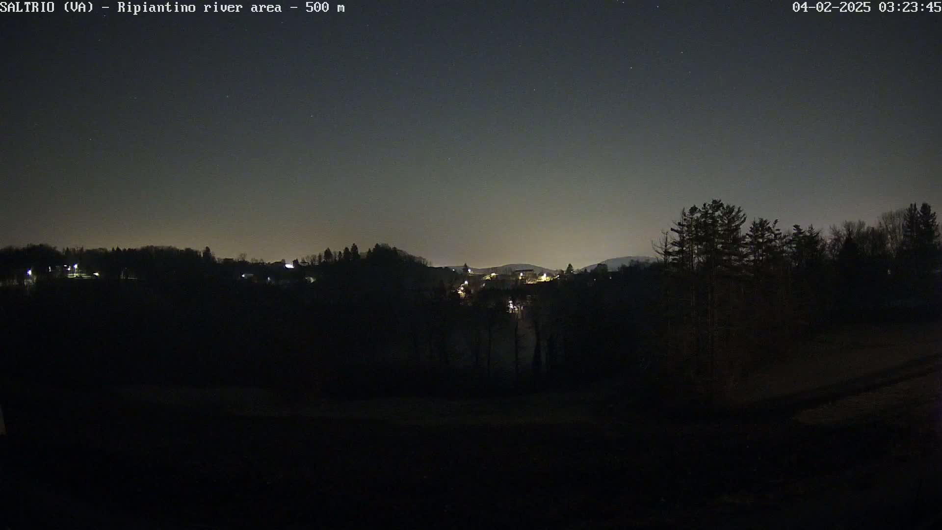 A nighttime view of a dark, tree-lined landscape with a few distant lights, under a clear, starlit sky.