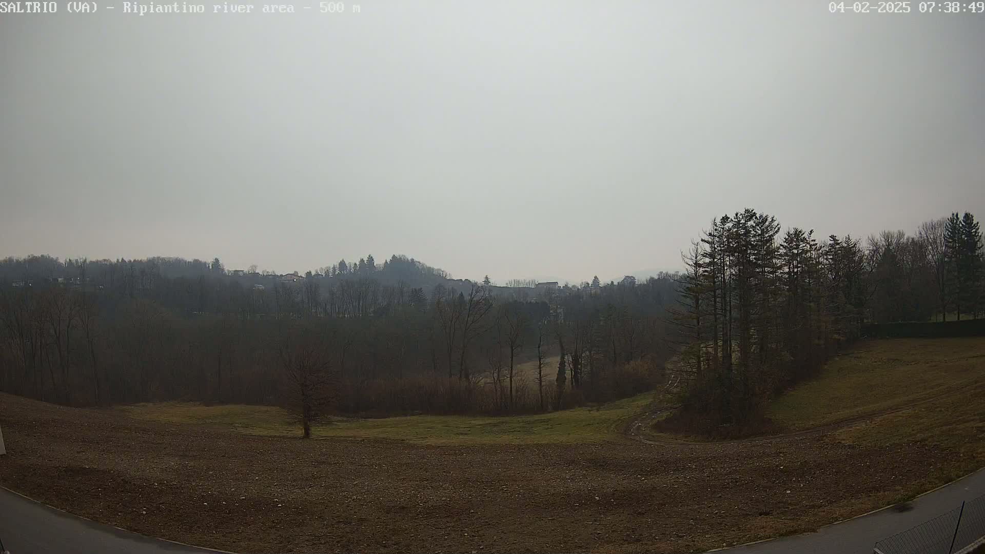 A hazy, overcast day reveals a brown and sparsely vegetated field leading to a line of dark, leafless trees and distant hills under a pale sky.