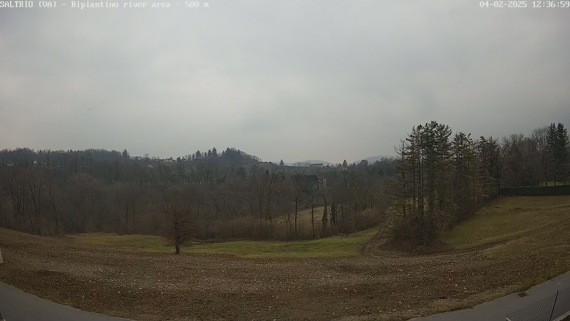 A view of a mostly barren field and leafless trees under an overcast sky, with hills and distant buildings in the background.