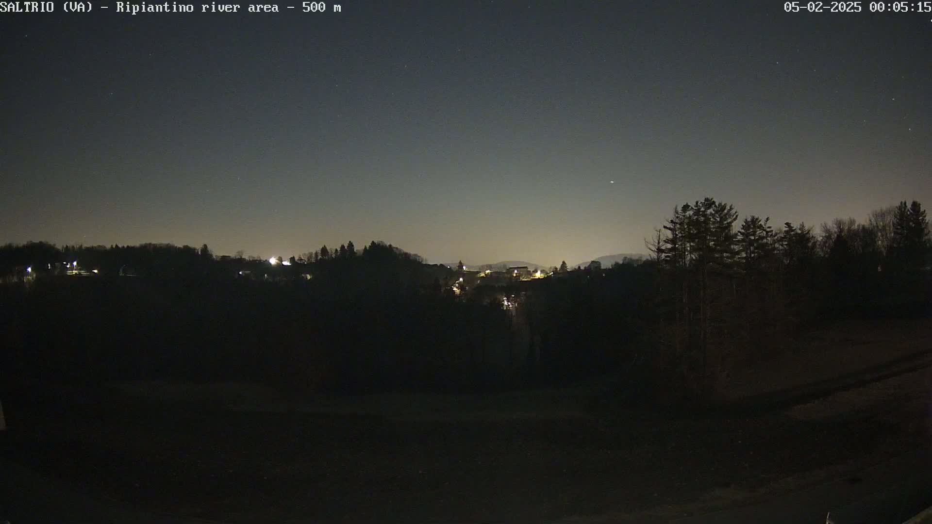 A nighttime view of a dark, tree-lined hillside with a few distant lights, under a clear, starlit sky.