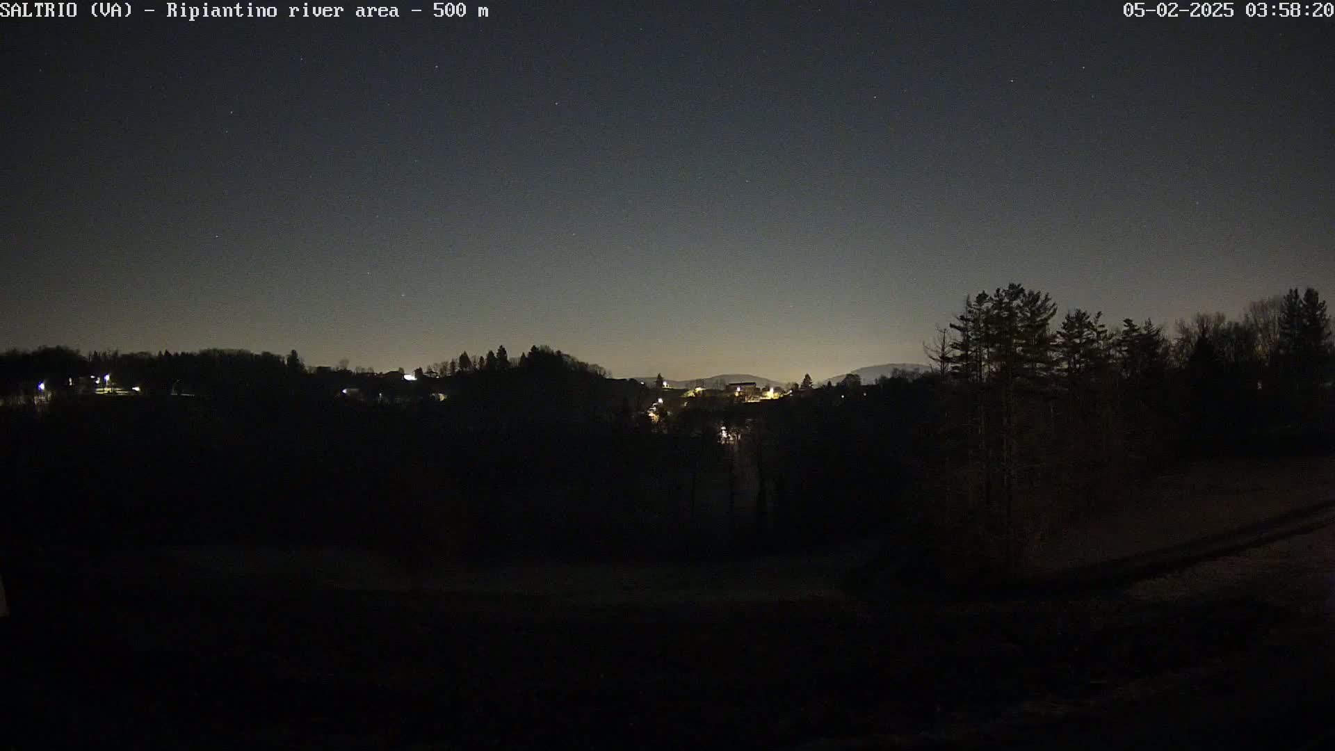 A nighttime long shot of a dark, sparsely lit town nestled amongst trees under a clear, starlit sky.