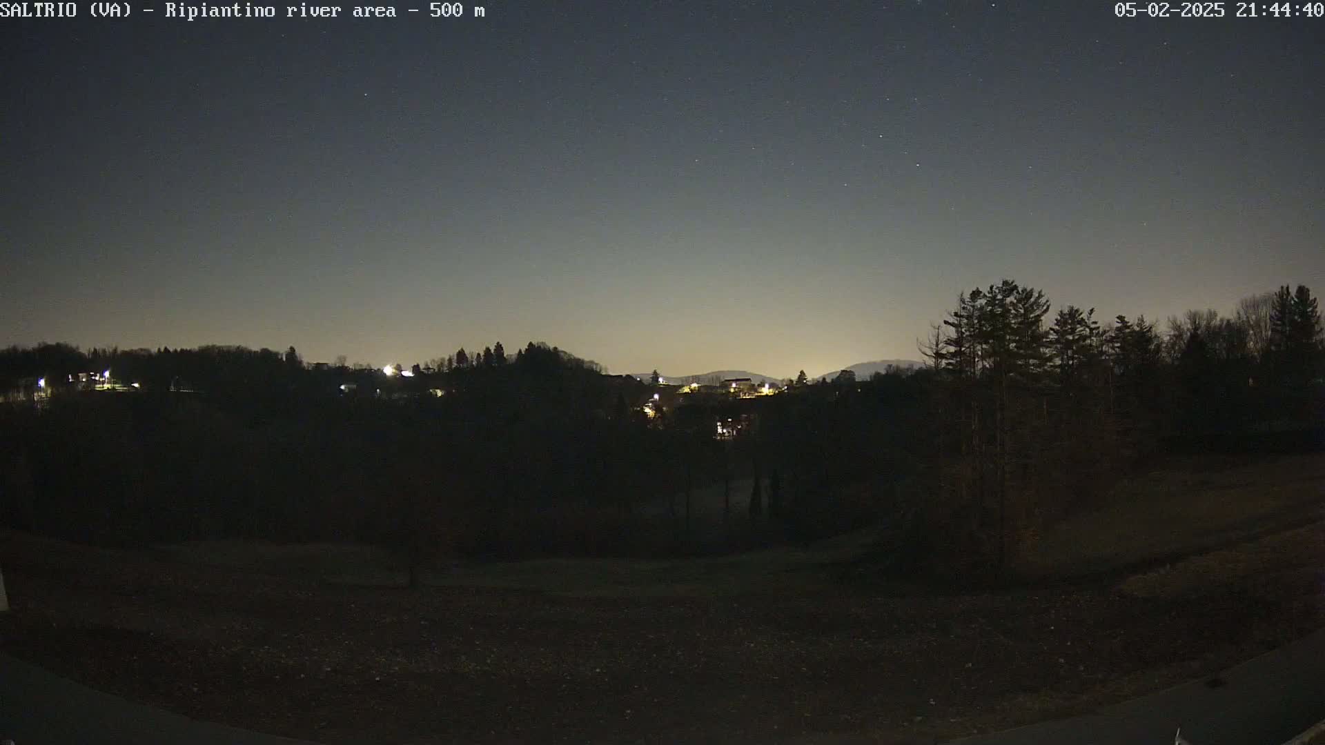 A nighttime view of a dark, tree-lined landscape with a few distant lights under a clear, starlit sky.