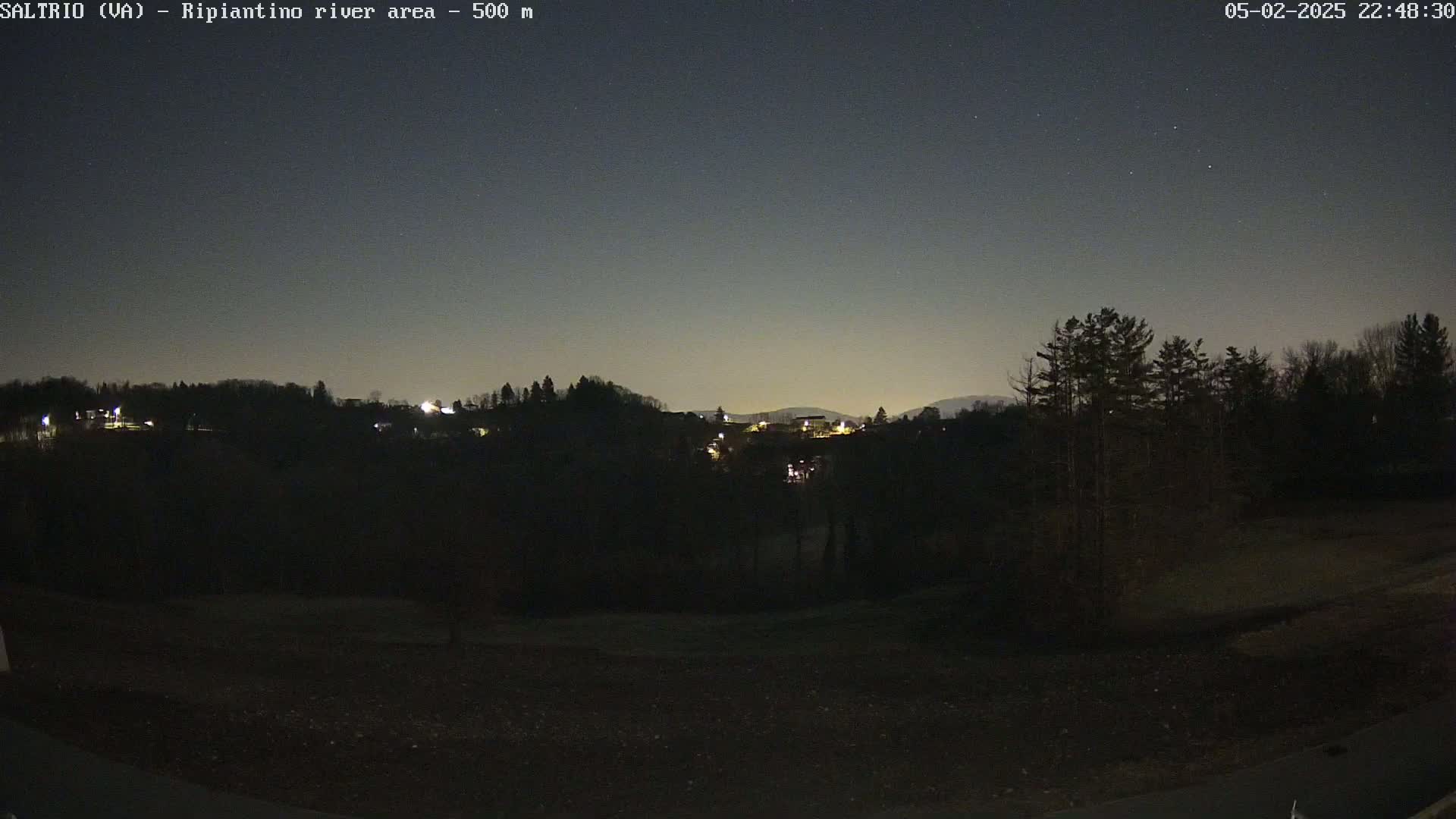 A nighttime view of a dark, tree-lined landscape with a few distant lights under a clear, starry sky.