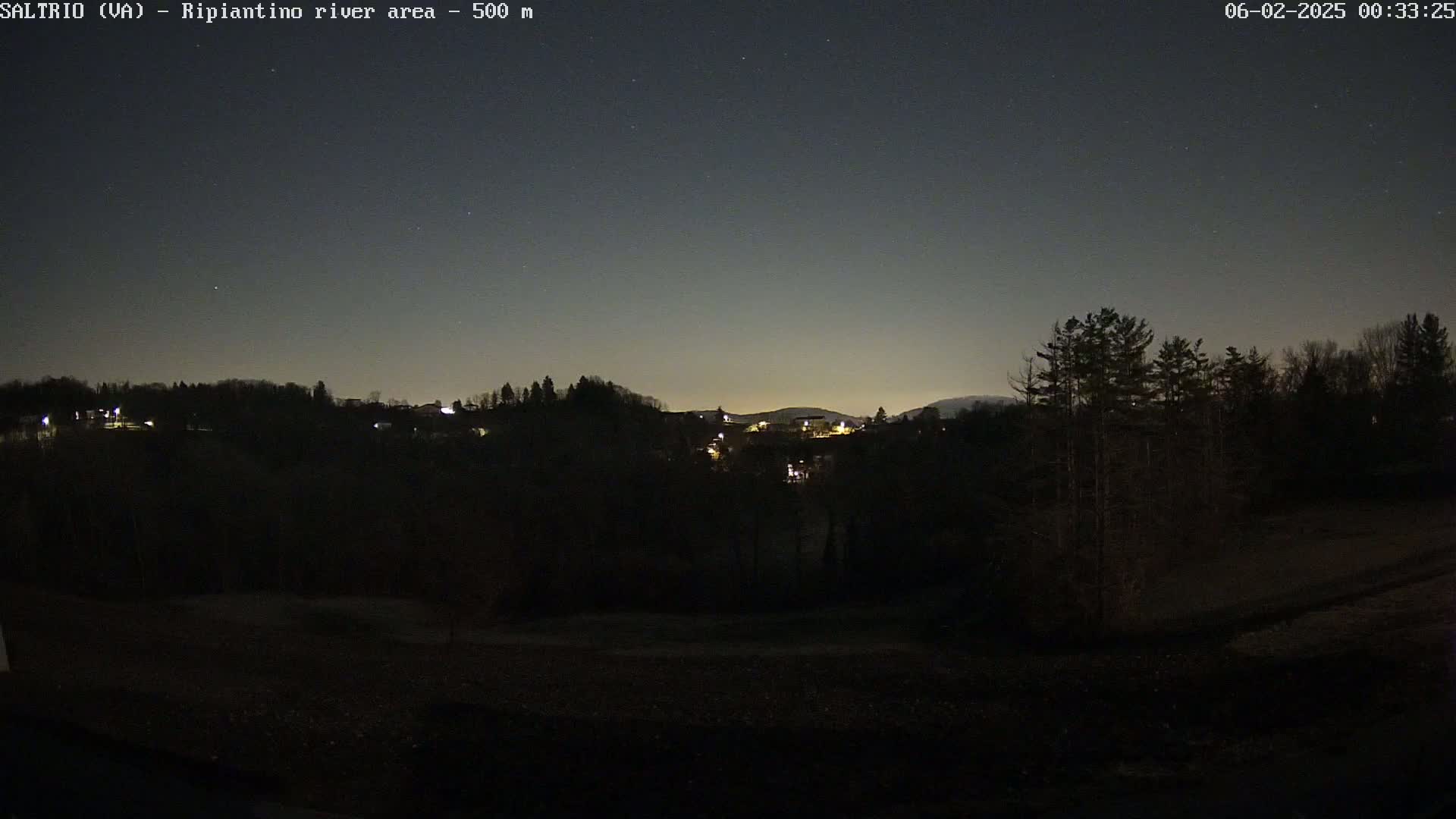 A nighttime view of a dark, sparsely lit town nestled among trees under a clear, star-studded sky.