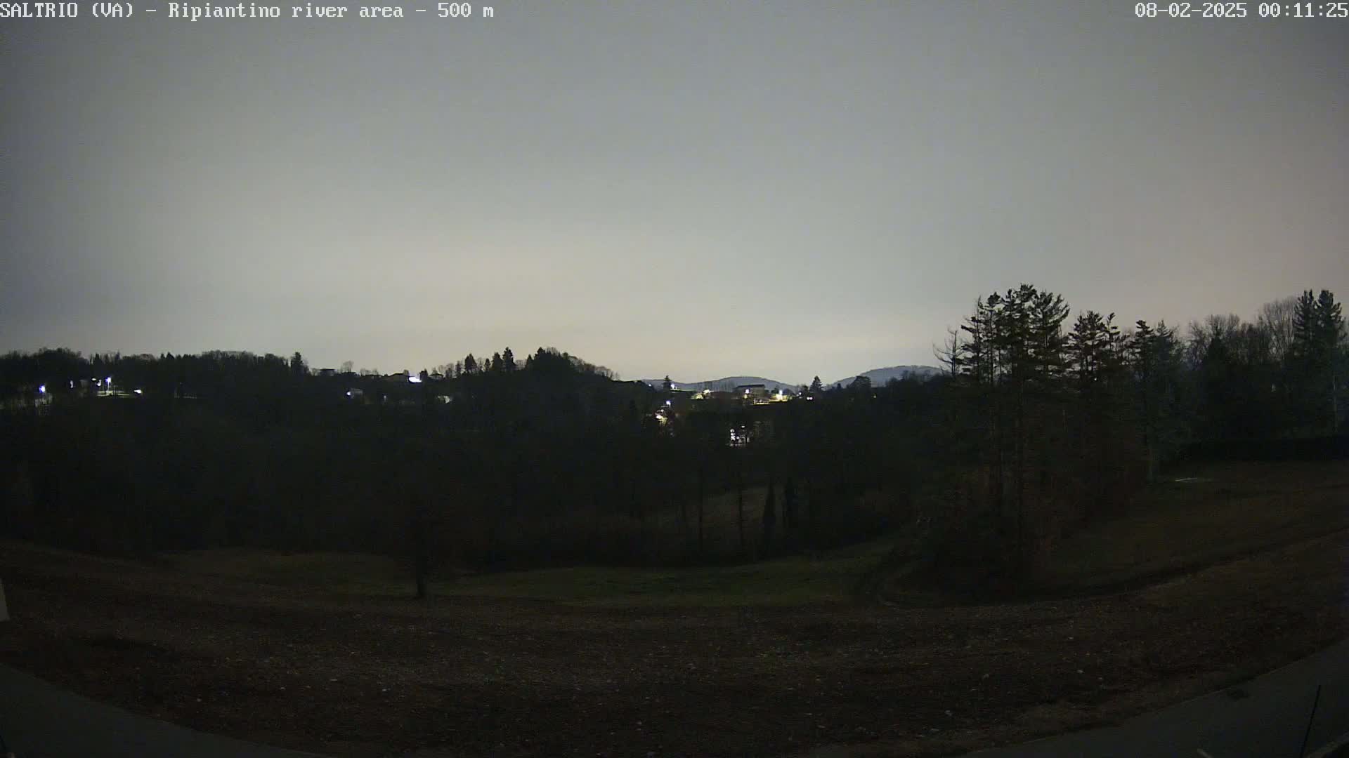 A nighttime view of a dark, sparsely lit landscape with trees and hills under a gray, overcast sky.