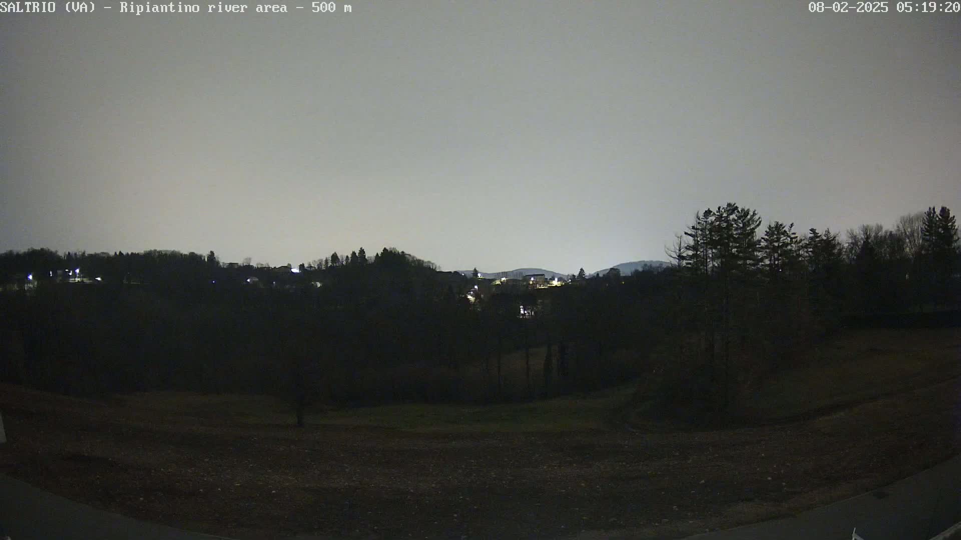 A nighttime view of a dark, tree-lined hill with distant lights, under a pale gray sky.