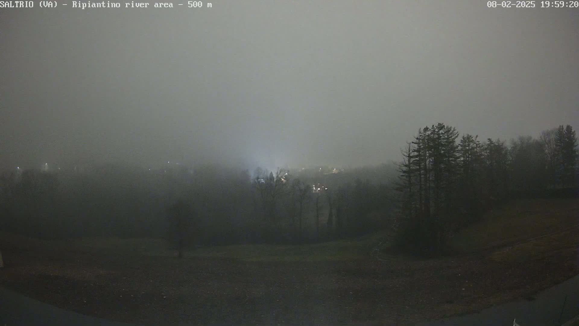 A foggy night scene shows a dark landscape with sparsely spaced trees and faint lights in the distance.