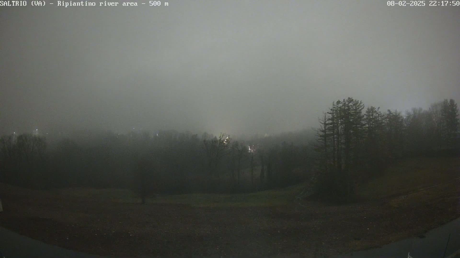A thick fog obscures a dark, mostly treeless landscape at night, with a few distant lights faintly visible.