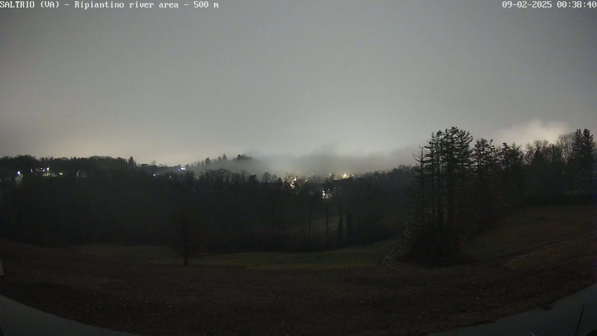 A nighttime, foggy view of a dark, wooded hillside with a few distant lights visible through the fog.