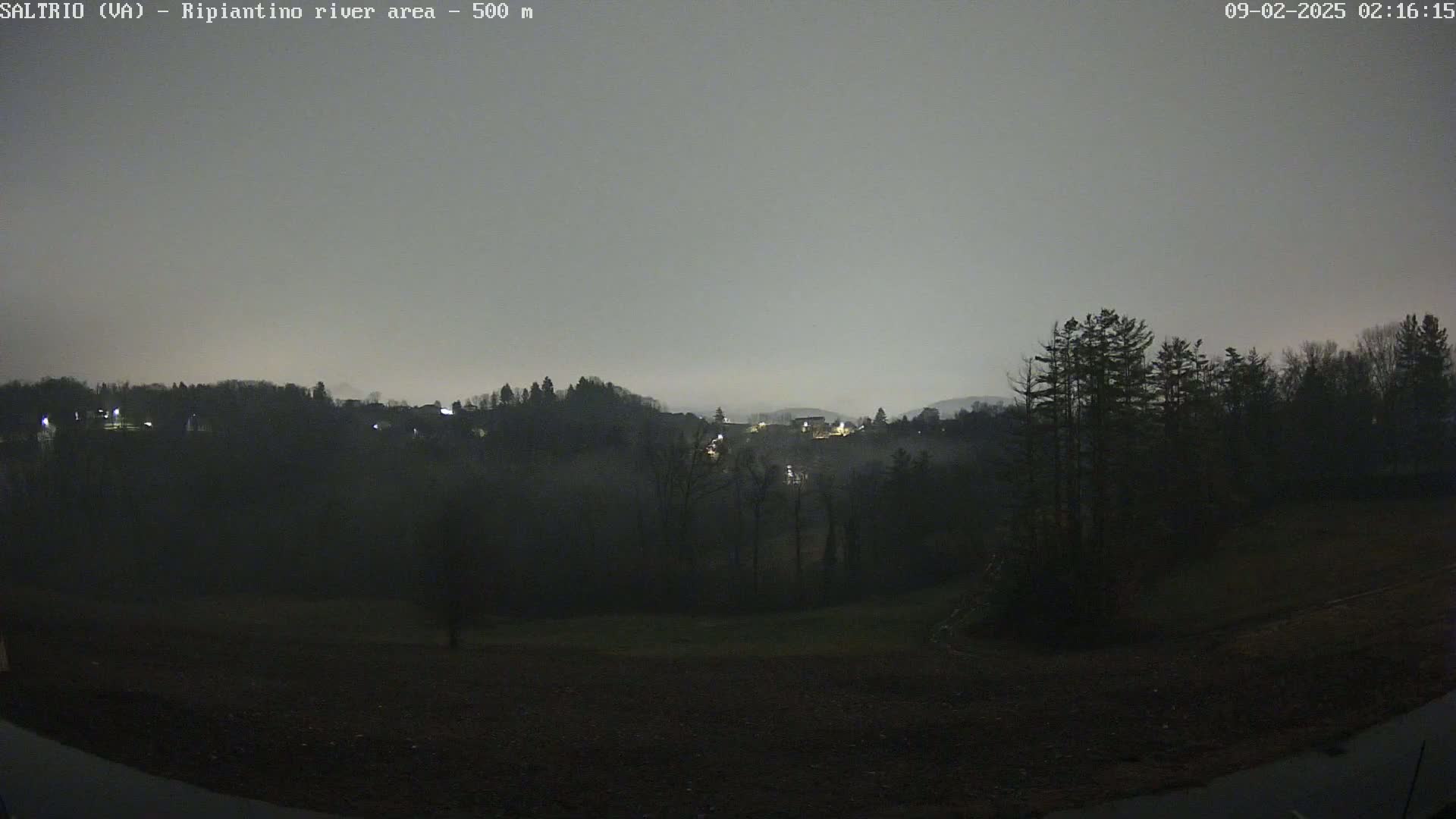 A nighttime, foggy view of a hilly landscape with sparsely lit buildings in the distance and dark trees in the foreground.