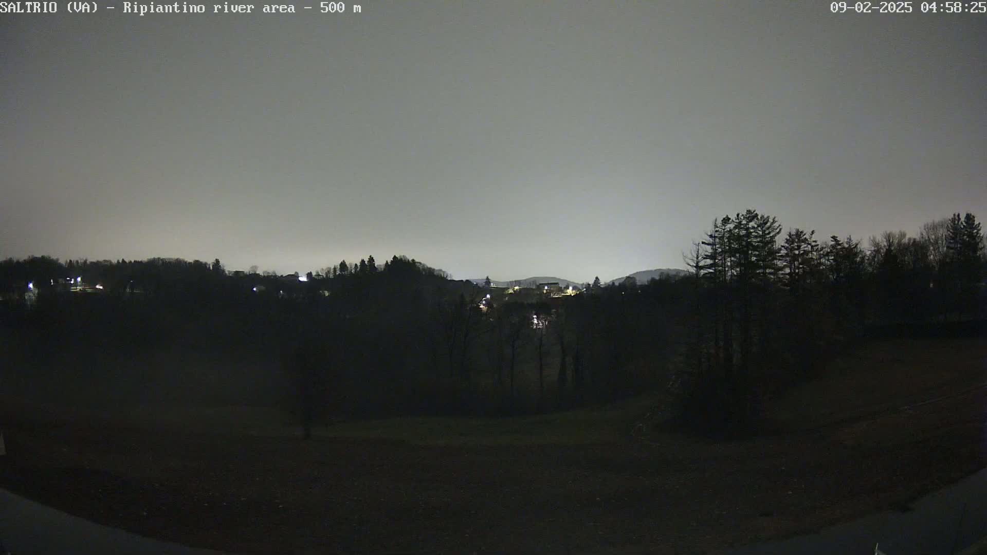 A nighttime view of a dark, tree-lined hillside with a few distant lights under a dusky, overcast sky.