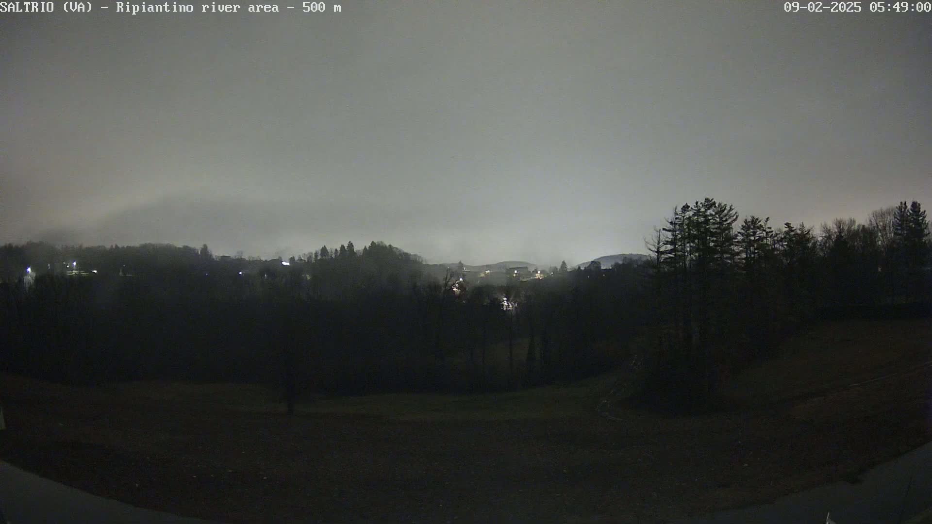 A nighttime, overcast view of a dark, tree-lined landscape with a few distant lights visible.