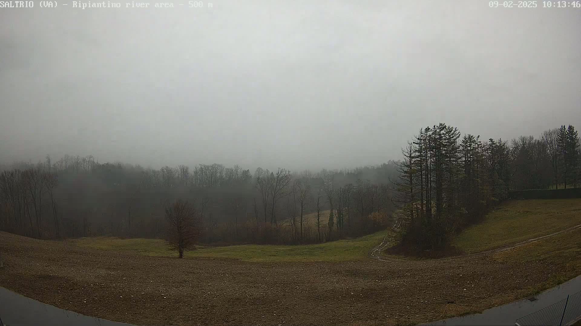 A foggy, overcast day reveals a view of a plowed field, bare trees, and a line of evergreen trees in the middle ground, with a forest in the background.