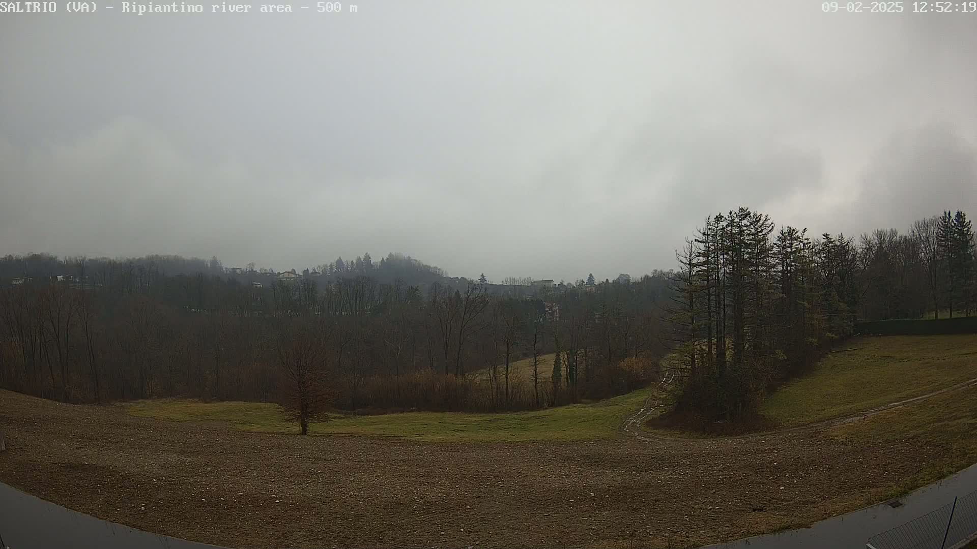 A view of a hilly landscape under an overcast sky shows bare trees and brown fields, with some patches of green grass.