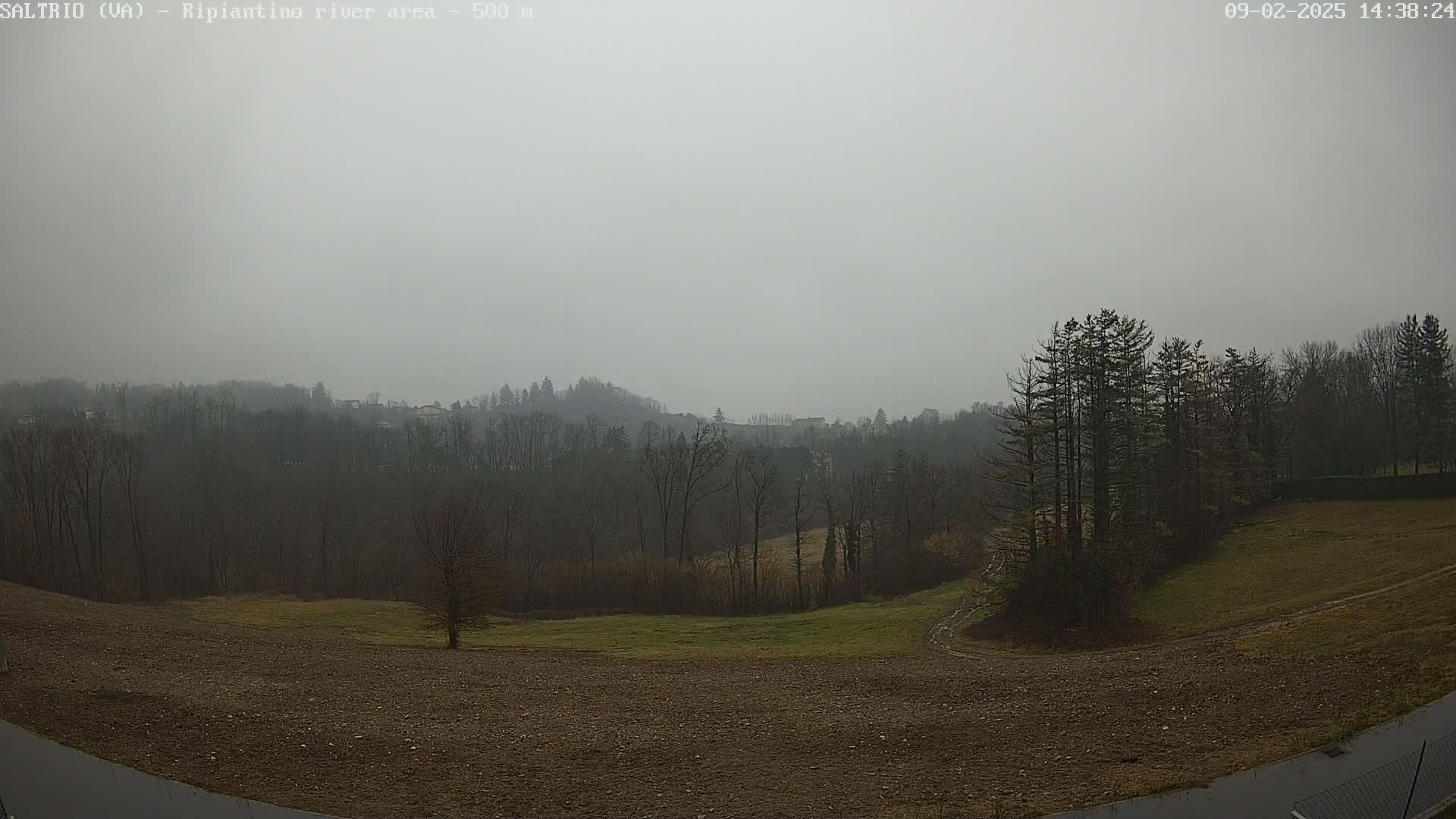 A hazy, overcast day reveals a landscape of bare winter trees and fields, with a distant line of hills visible through the mist.