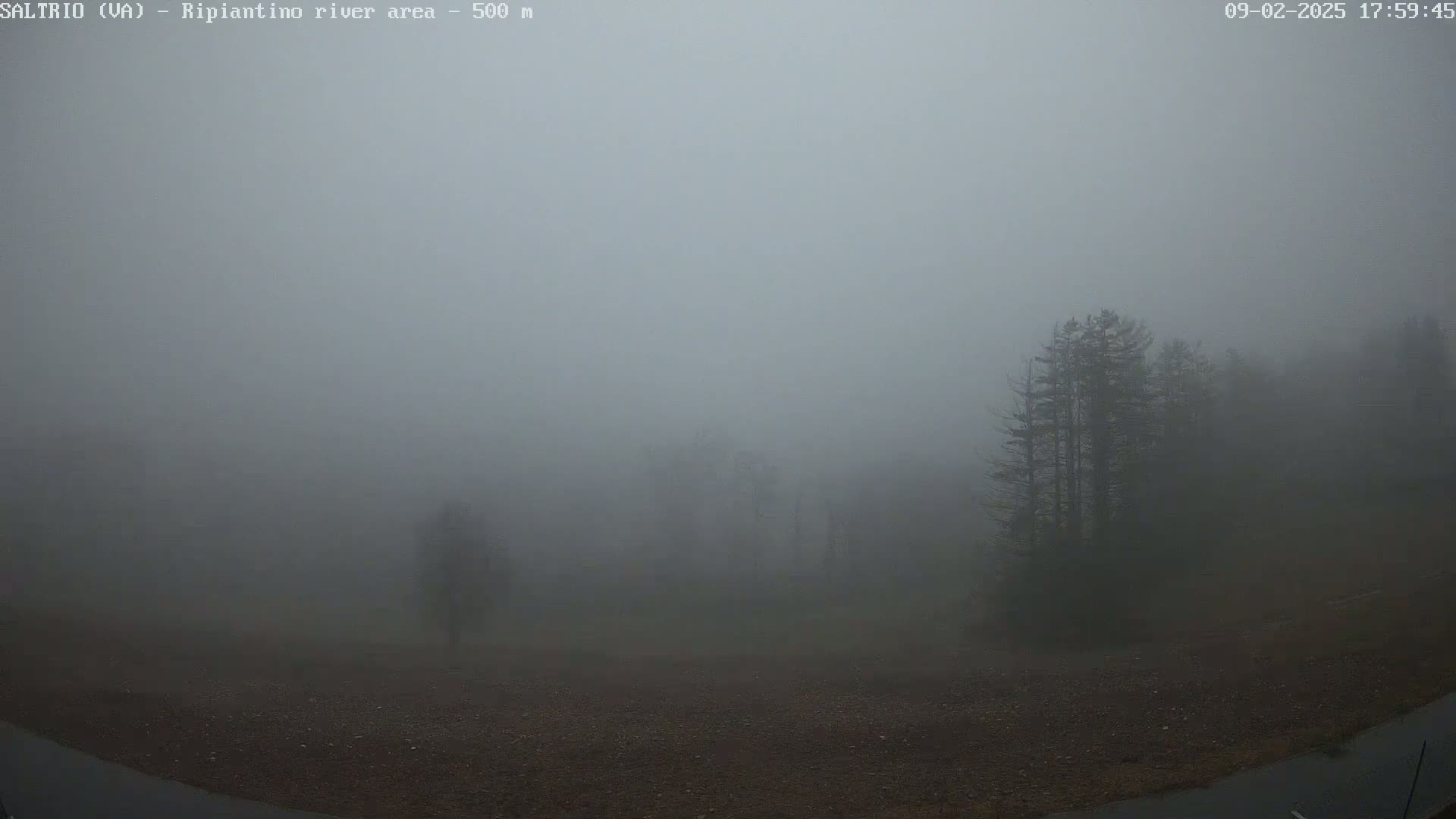 A thick fog obscures a view of dark trees and a gravel area.