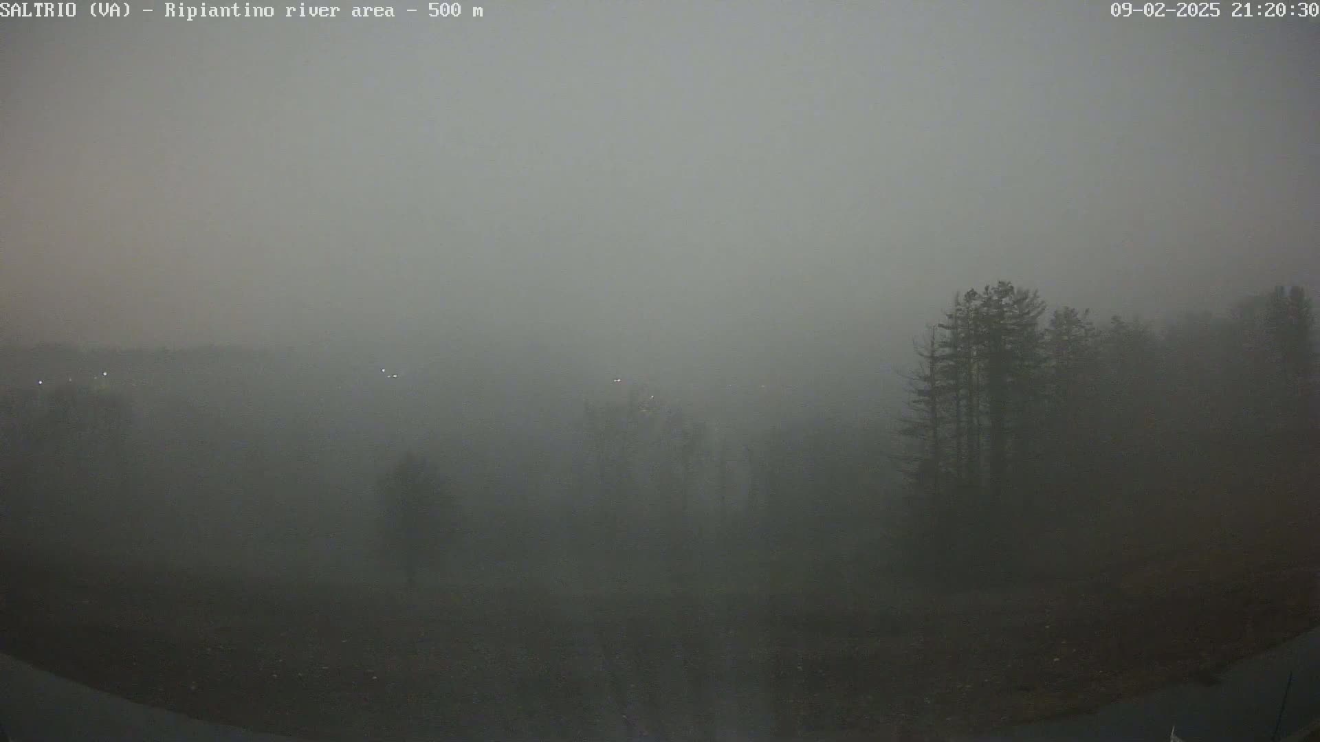A thick fog obscures the view of a dark landscape with some trees visible in the mid-ground.