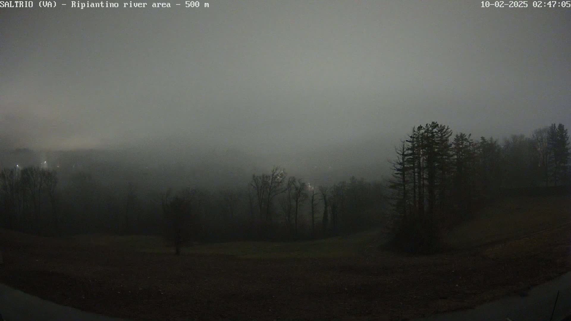 A foggy, dark night scene shows a line of trees on a hill overlooking a flat, dark expanse of land.