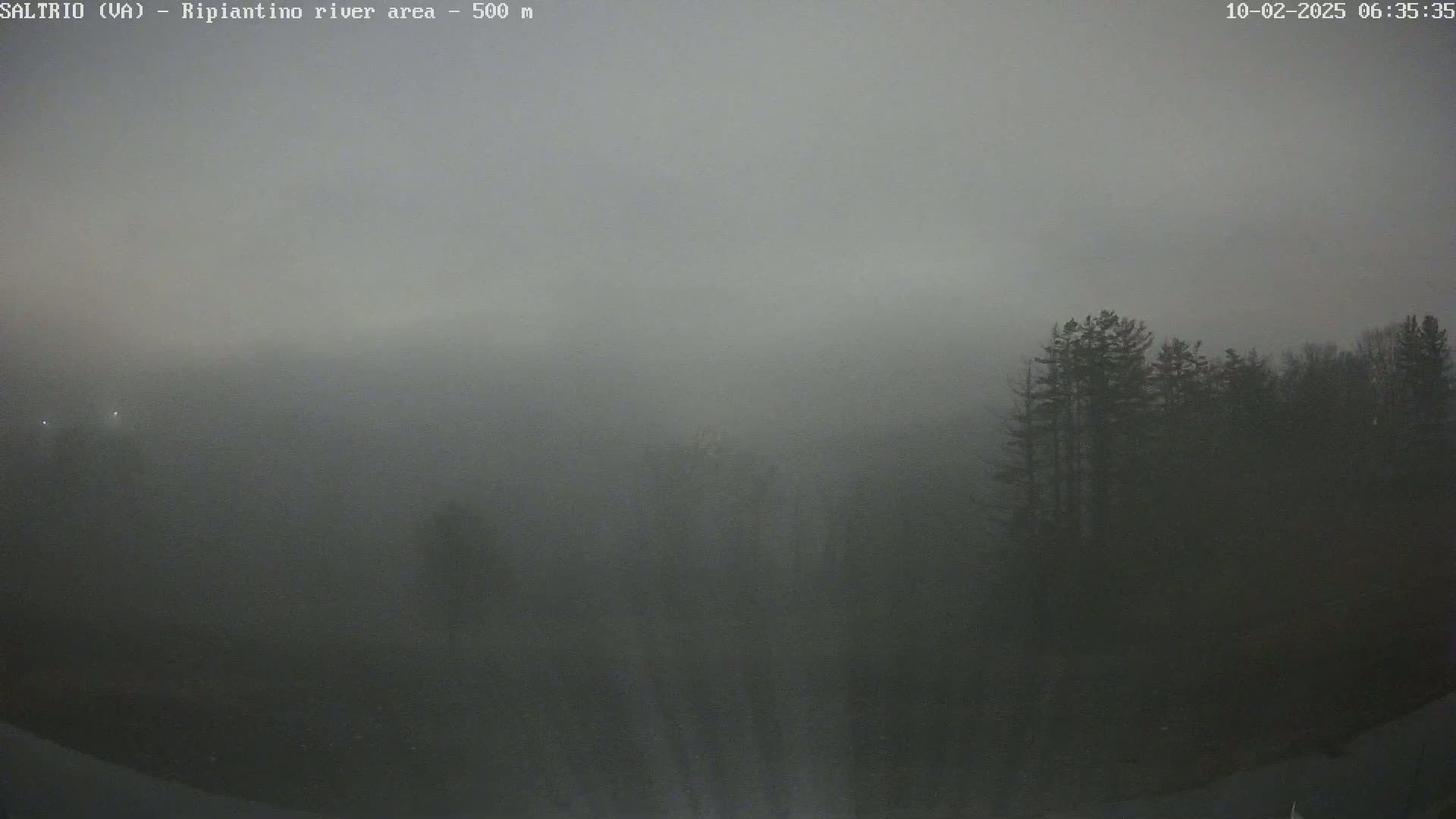 A thick fog obscures a dark landscape with a line of trees in the distance at night.