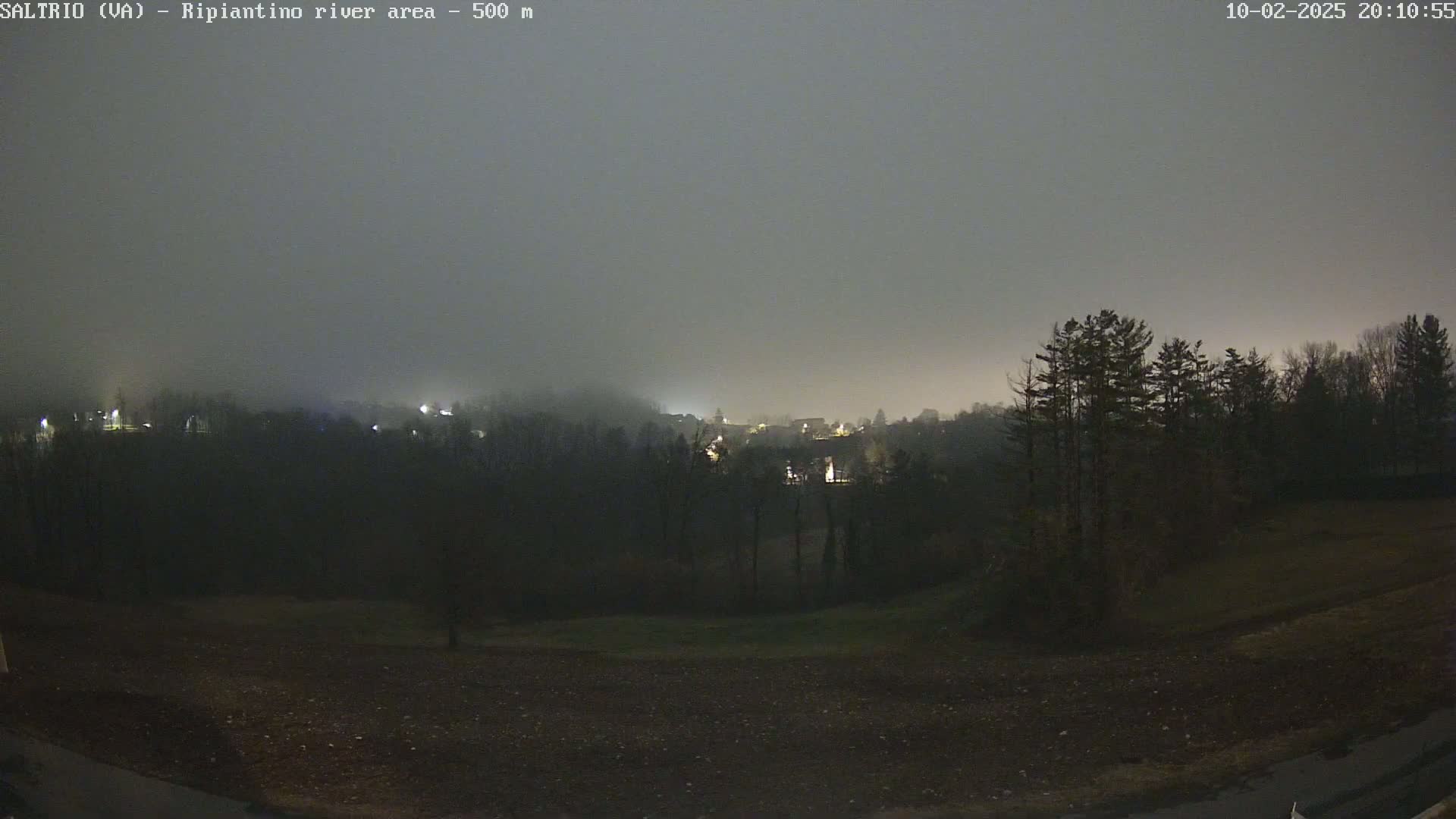 A nighttime view of a foggy, dimly lit town nestled among dark trees and fields.
