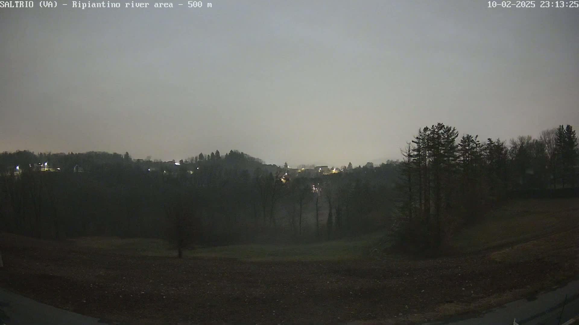 A nighttime view of a hilly landscape with dark trees and a few distant lights under a hazy, gray sky.