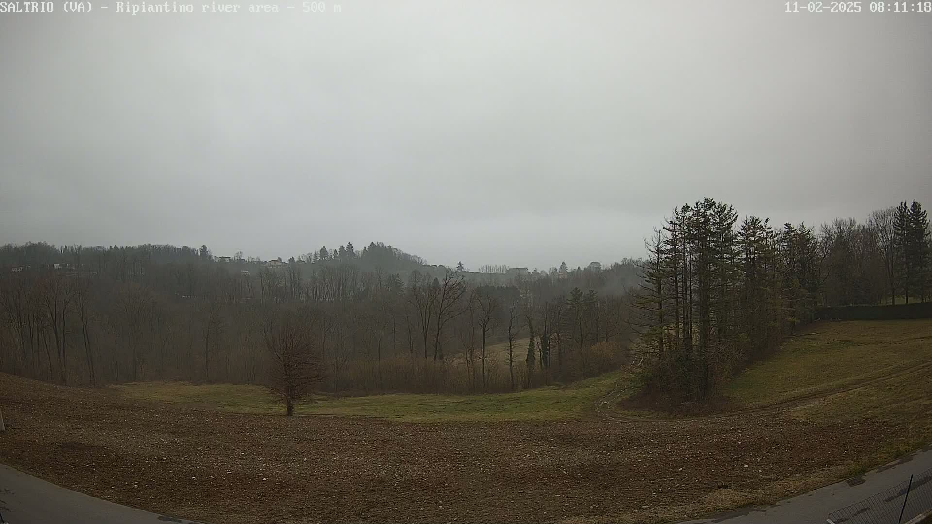 A view of a plowed field and bare, deciduous trees leading to a hazy, wooded hillside under an overcast sky.